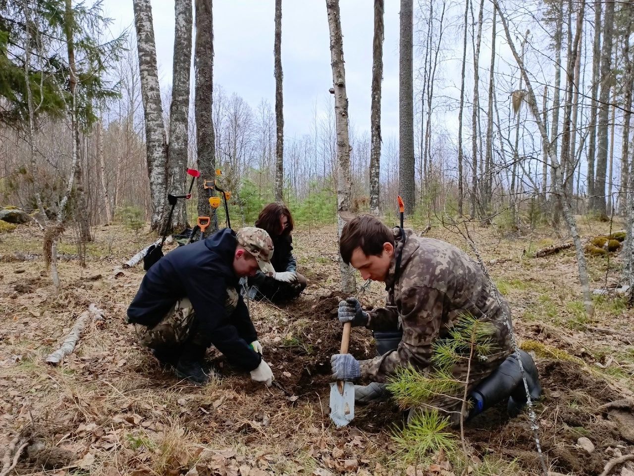 В Карелии нашли останки еще одного павшего солдата