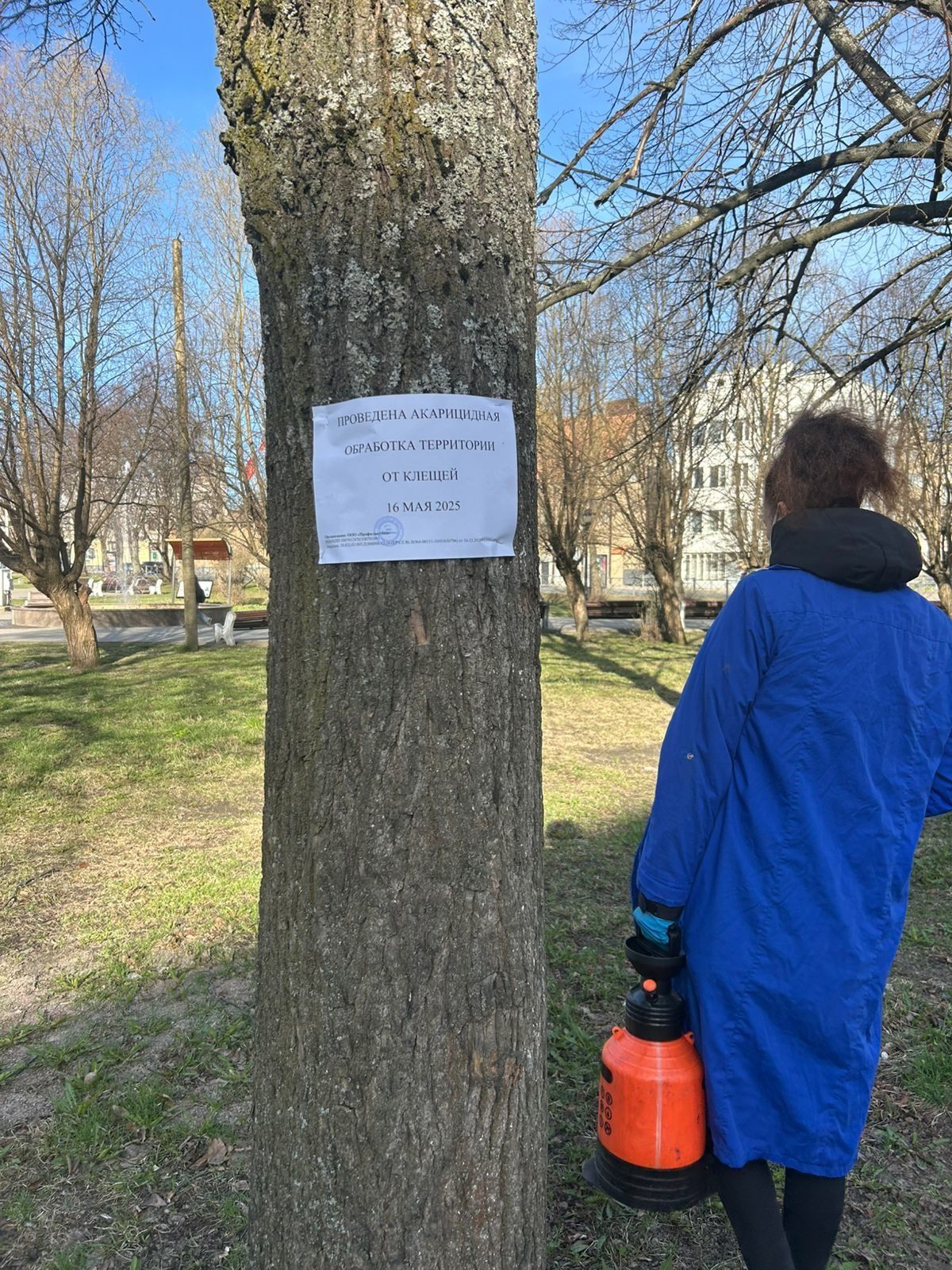 В Сортавале приступили к обработке парков от клещей