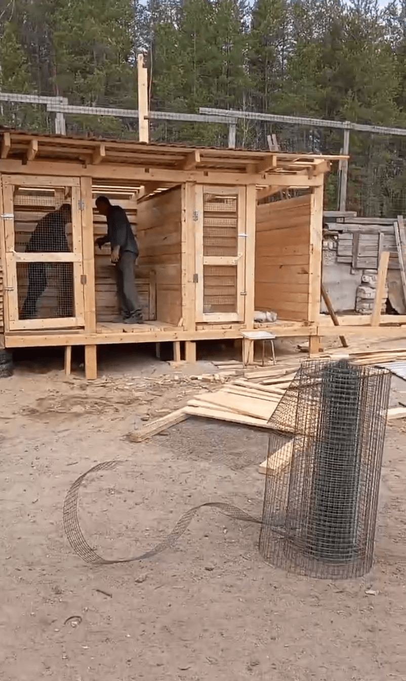 В приюте Медвежьегорска началось строительство новых вольеров для собак