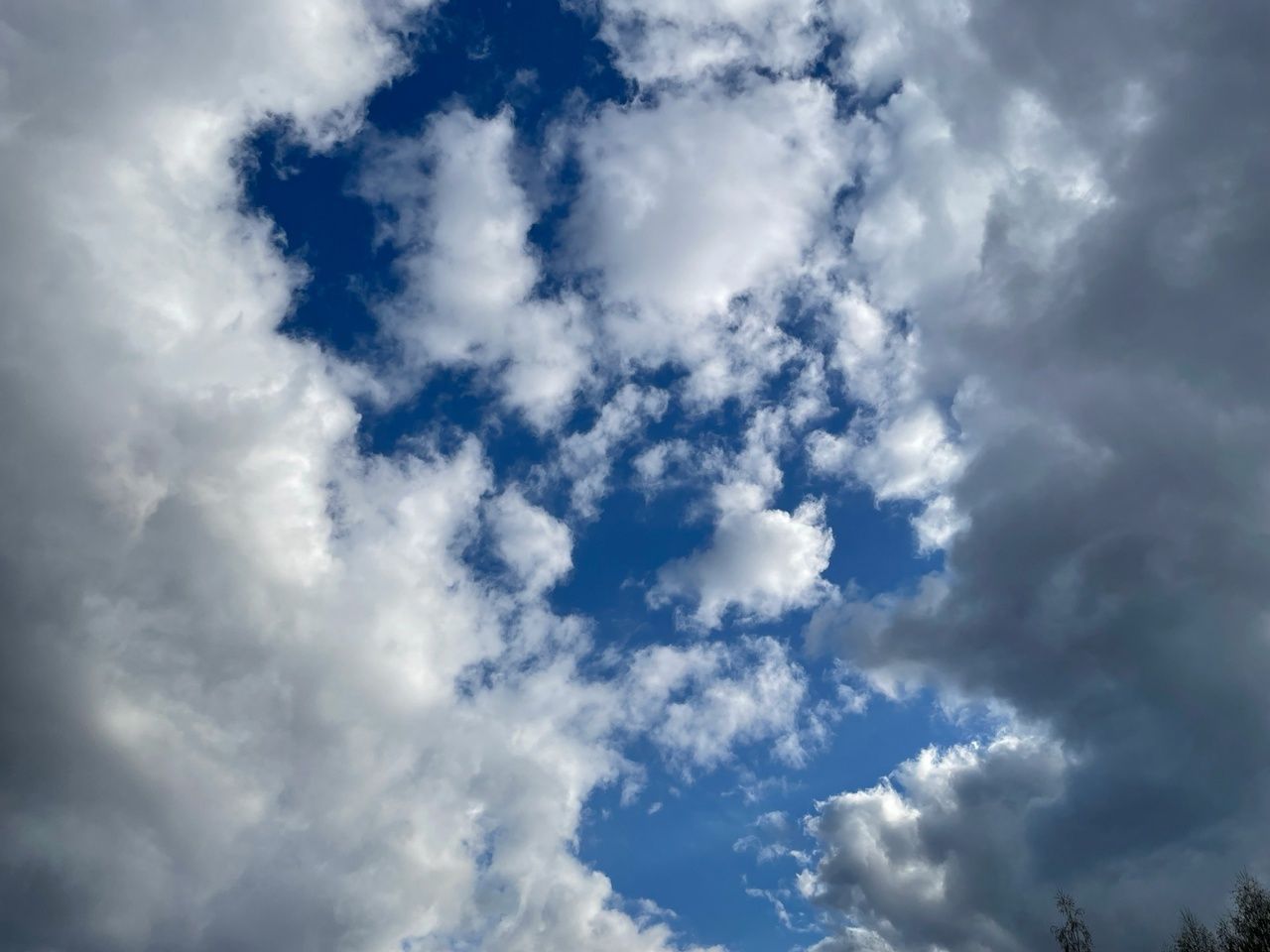 Вид из окна и настроение жителям Карелии во вторник может омрачить небольшой дождь