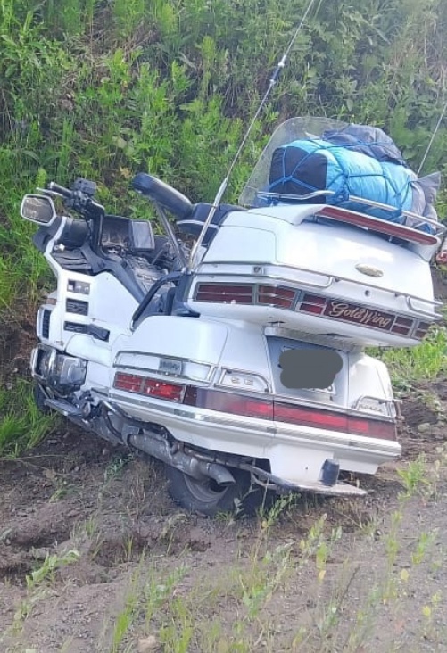 Выбежавший на дорогу зверь заставил мотоциклиста дернуть руль на востоке Карелии