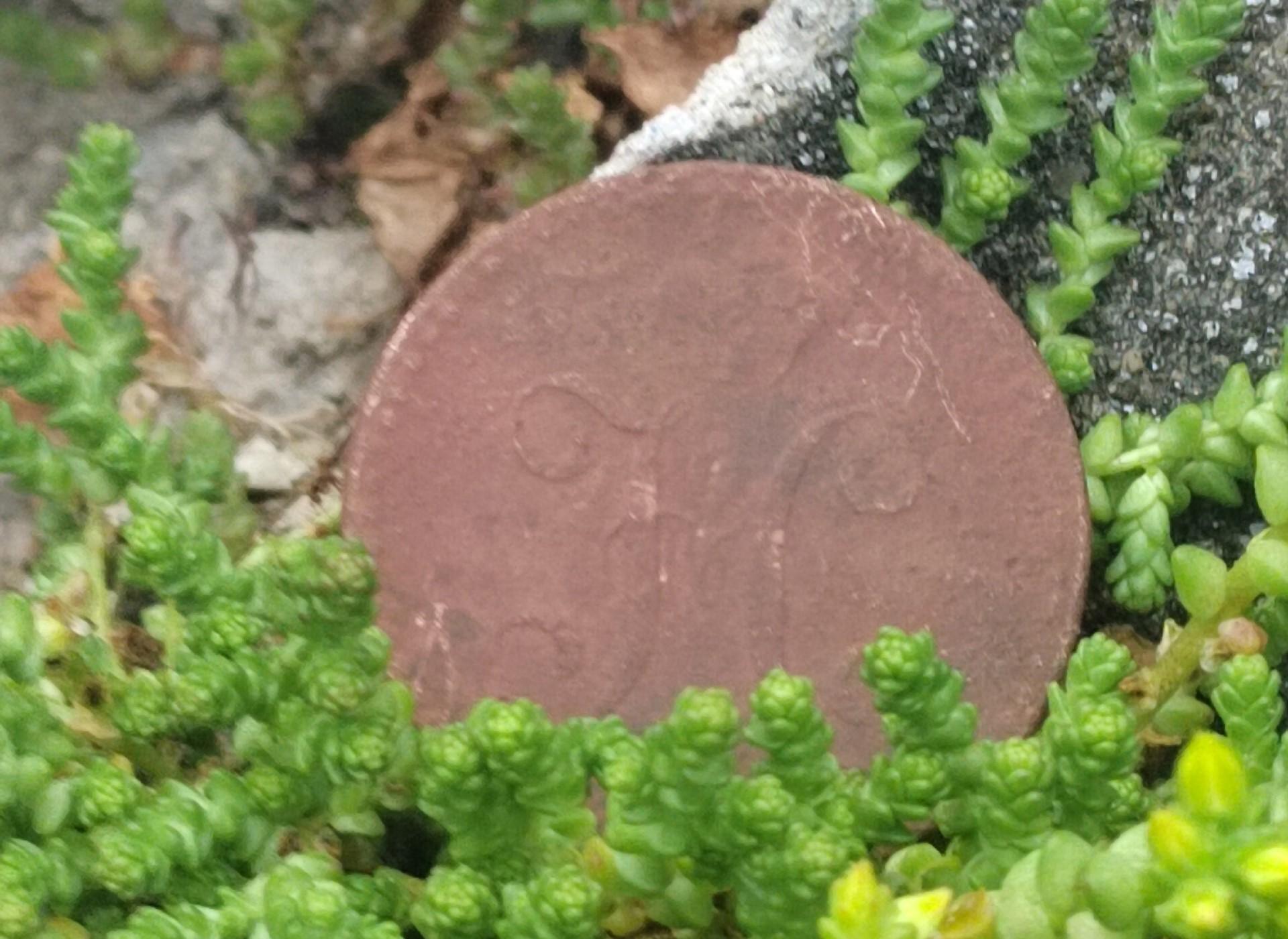 Царские две копейки нашли на Никольском острове