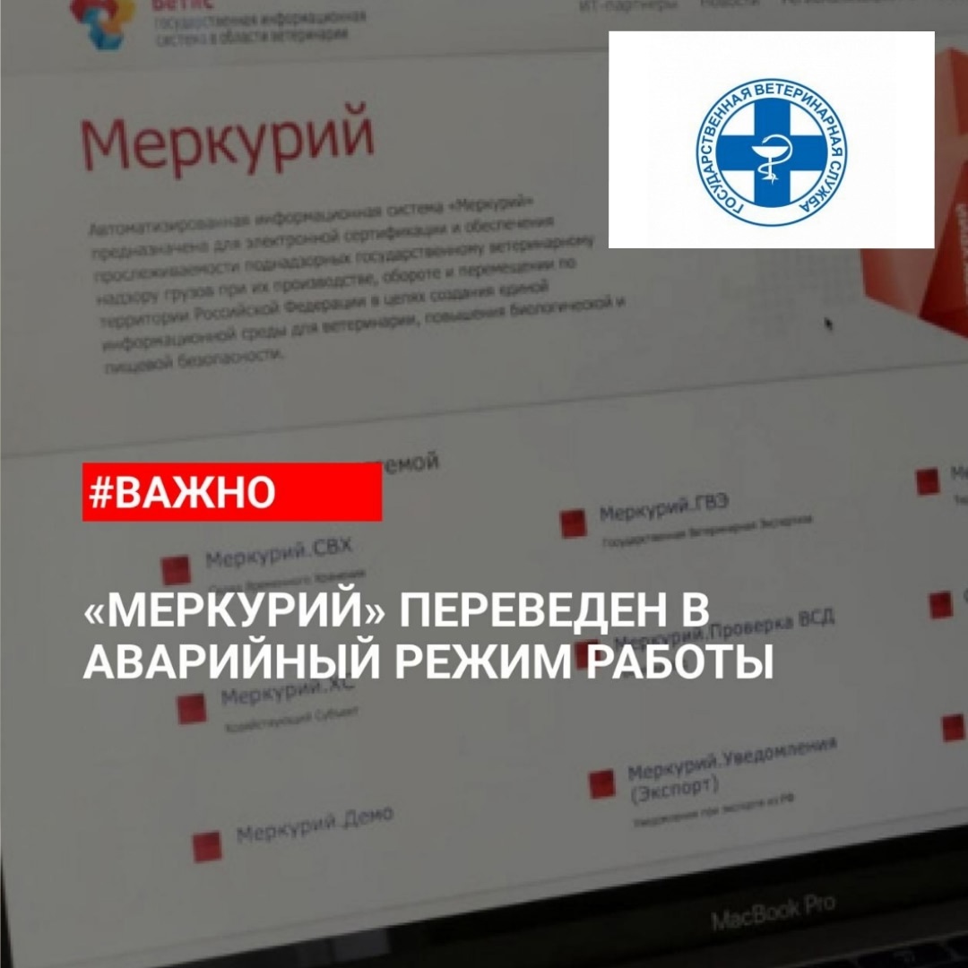 Ветеринарная система «ВетИС» упала после хакерской атаки