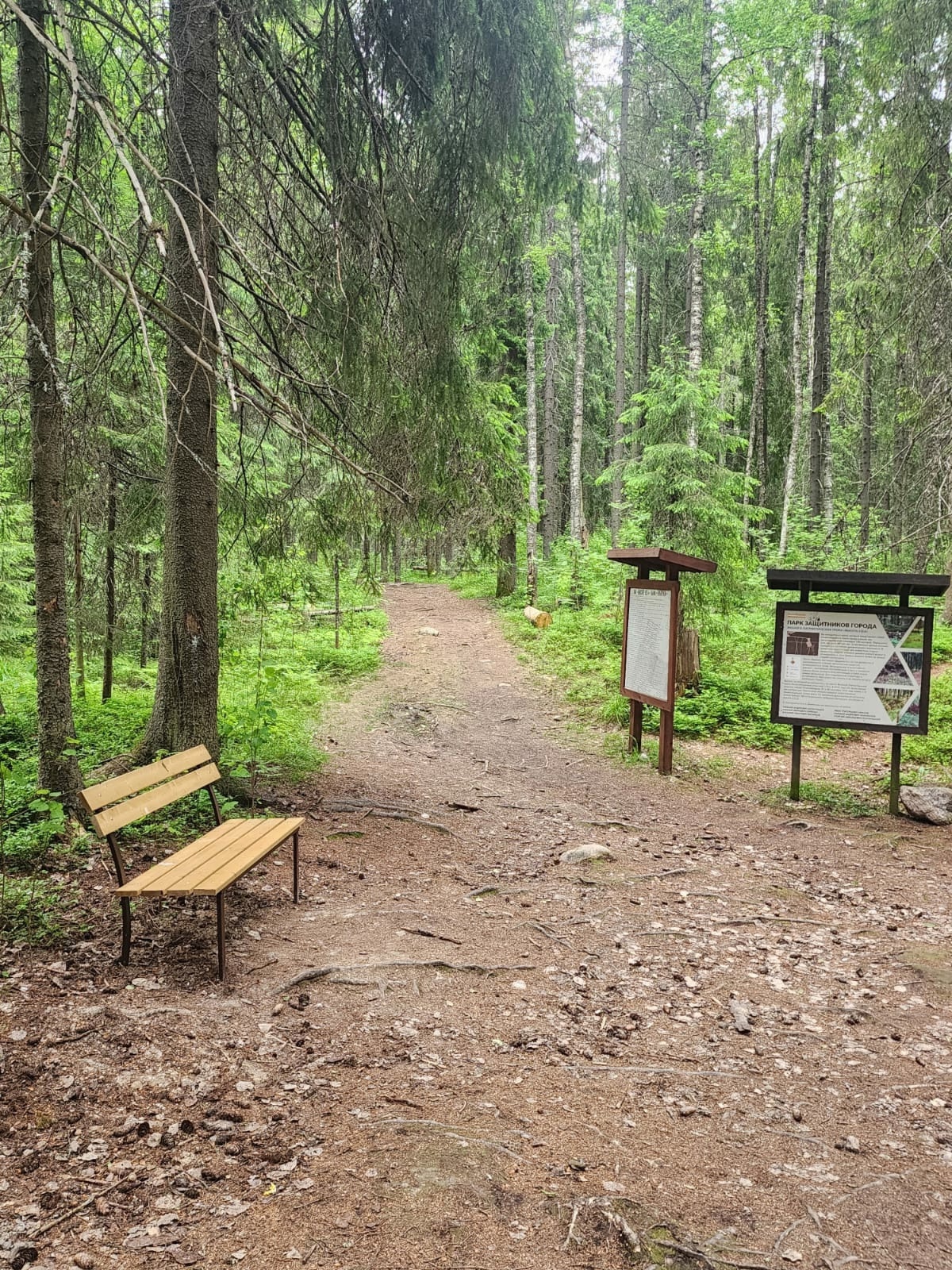 В одном из парков Петрозаводска установили удобные скамейки