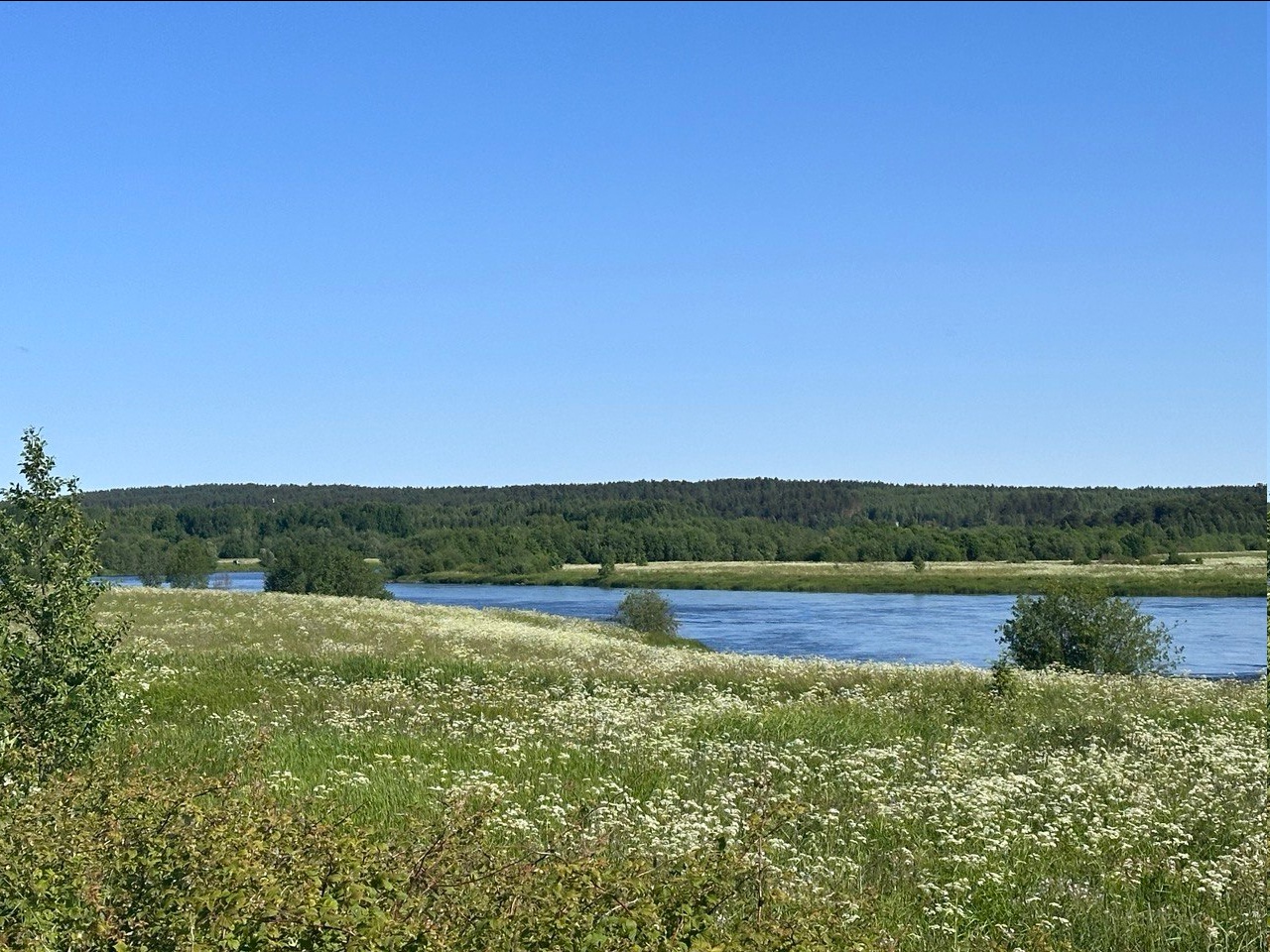 Еще 667 гектаров земли стали доступны для желающих переехать в арктические районы