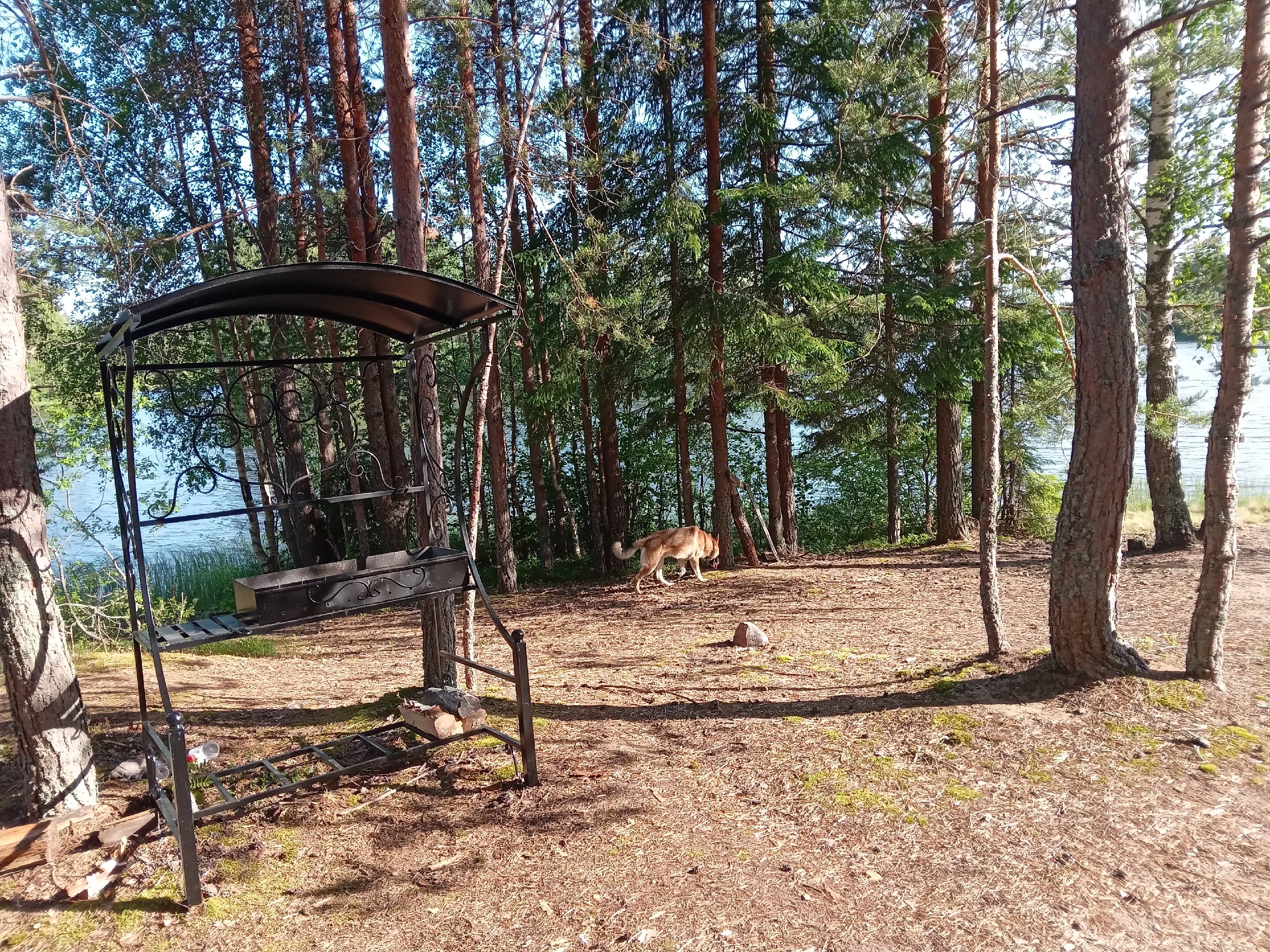 В карельском поселке обустроили пляж и мангальную зону на берегу озера