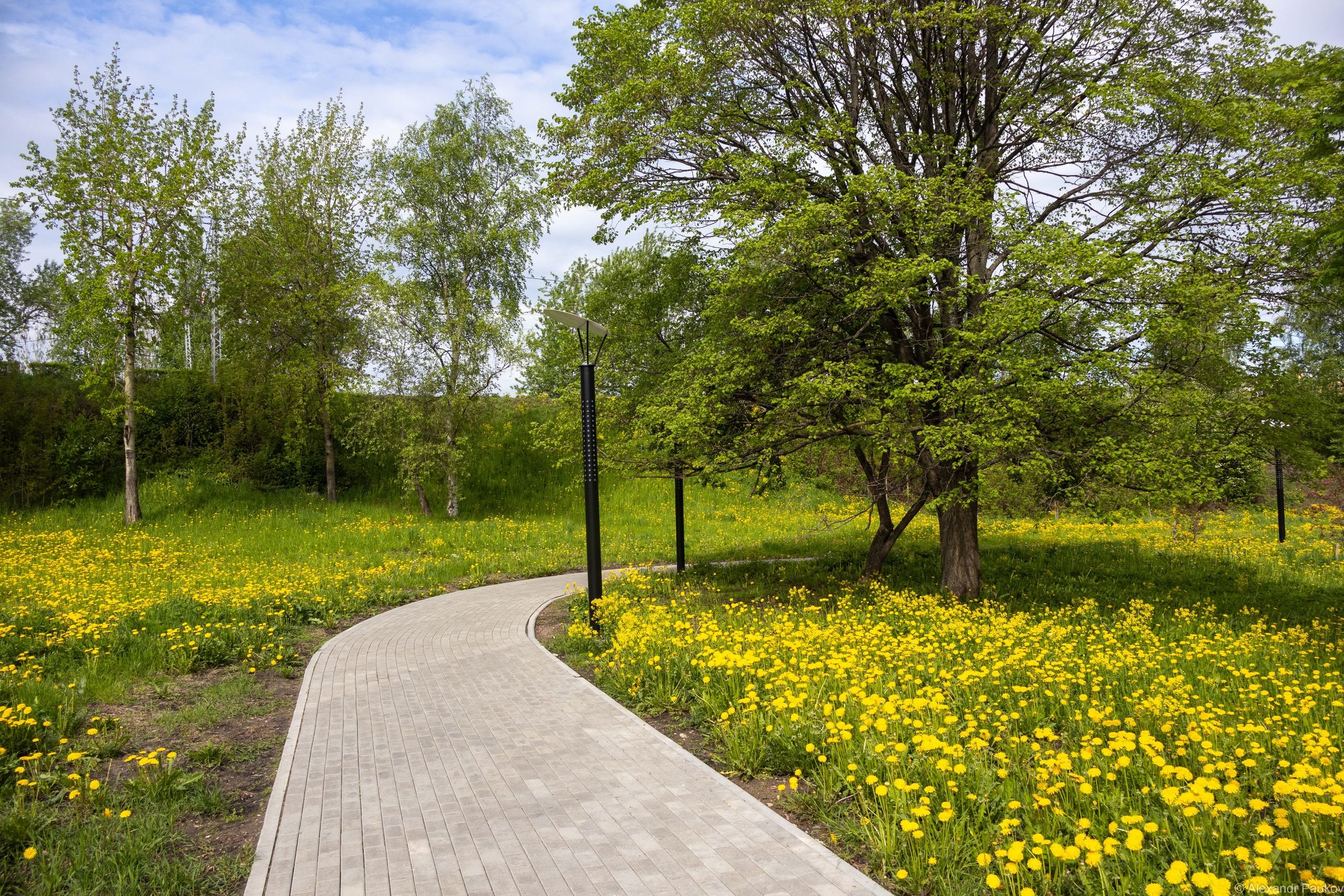 Синоптики рассказали, какая погода ждет жителей Карелии в субботу