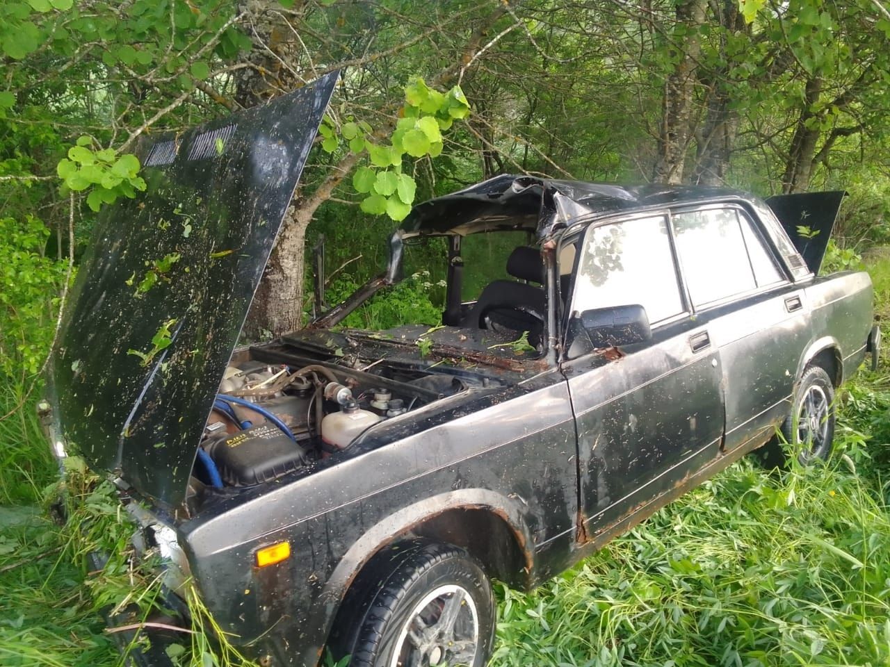 Молодая пассажирка авто пострадала в ДТП после столкновения с лосем в районе Карелии