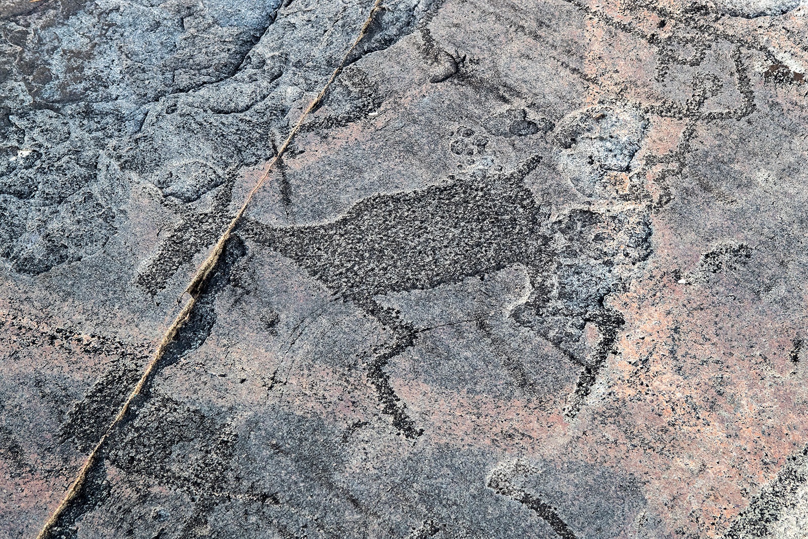 В Карелии расскажут историю петроглифов на фестивале «Залавруга»