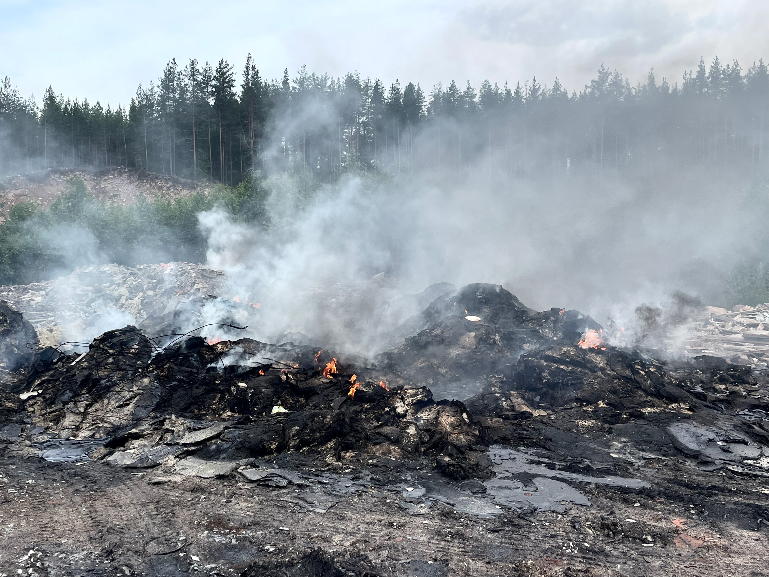 Жительница Питкяранты возмущена незаконными свалками и пожарами, на которые МЧС не обращает внимания (Видео и фото)