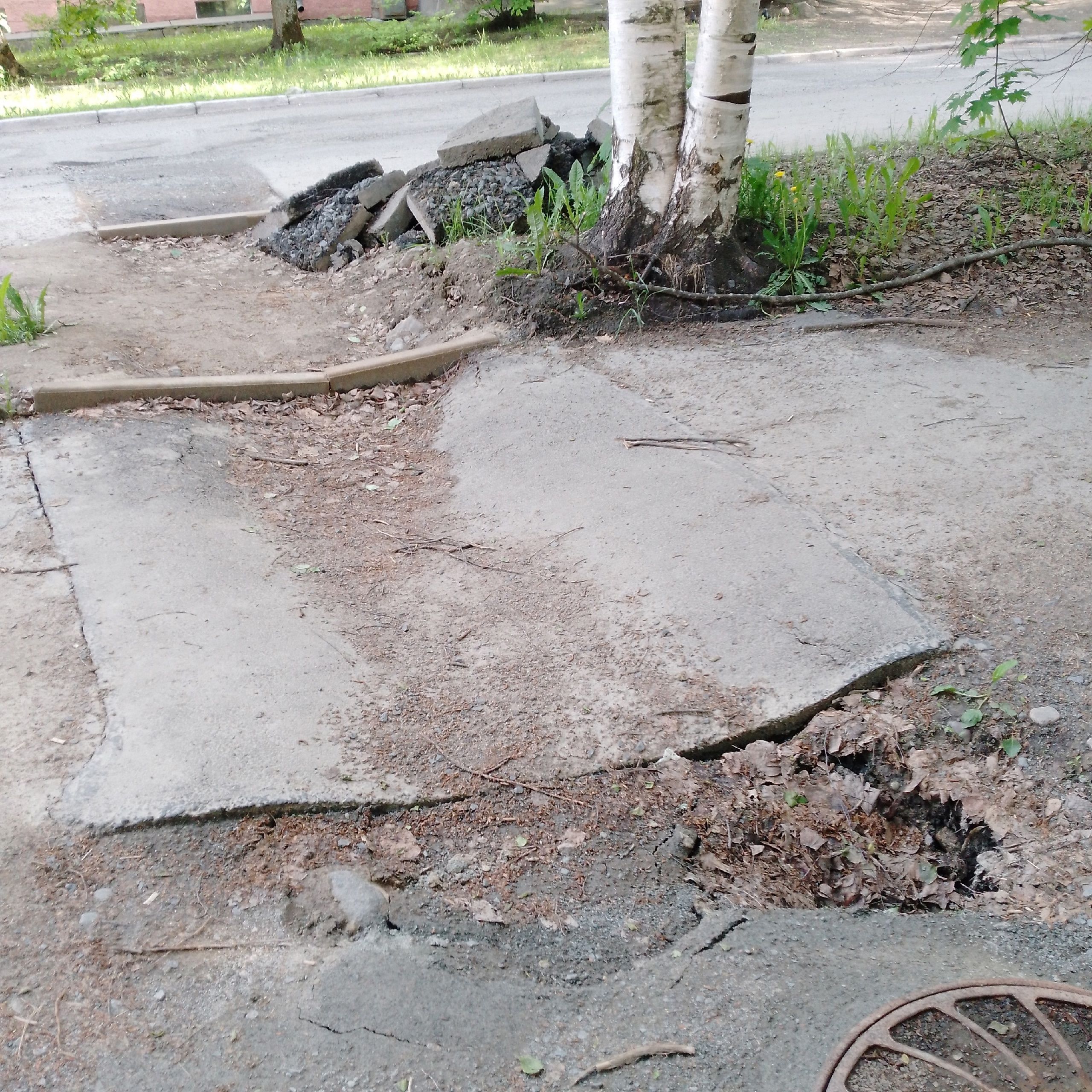 Новое покрытие аллеи в Петрозаводске уже разваливается (Фото)