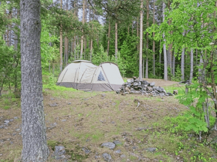 Спасатели эвакуировали с острова Ладожского озера травмированного туриста