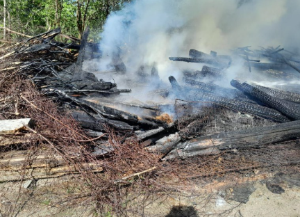 Пожар у лесовозной дороги оперативно потушили