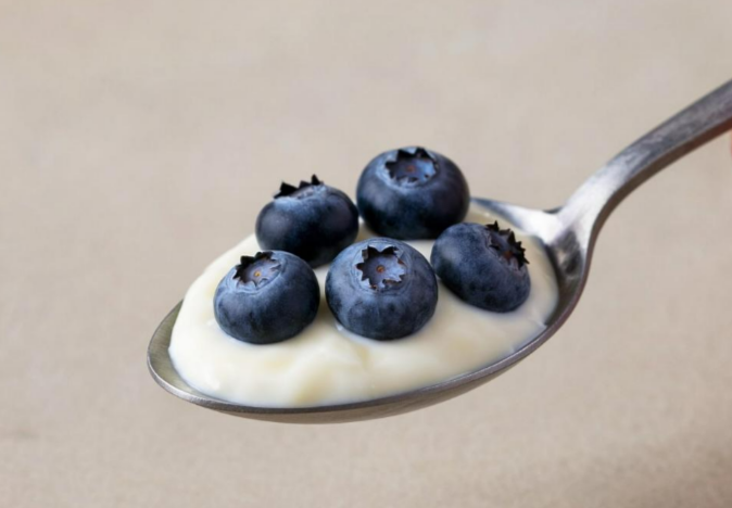 Впервые на Дне города в Петрозаводске жители и гости столицы попробуют йогурты из Эссойлы