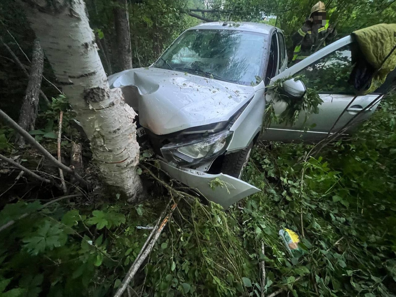 Женщина заснула за рулем и направила машину в дерево в одном из районов Карелии