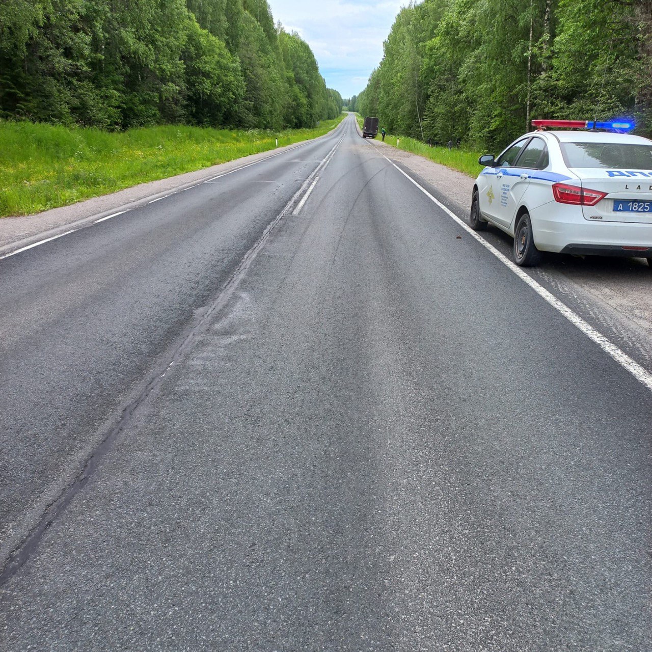 Стало известно о гибели 17-летнего подростка в слетевшей с дороги иномарке на востоке Карелии