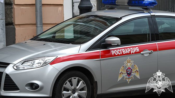 Росгвардейцы задержали 14 правонарушителей за неделю в Карелии