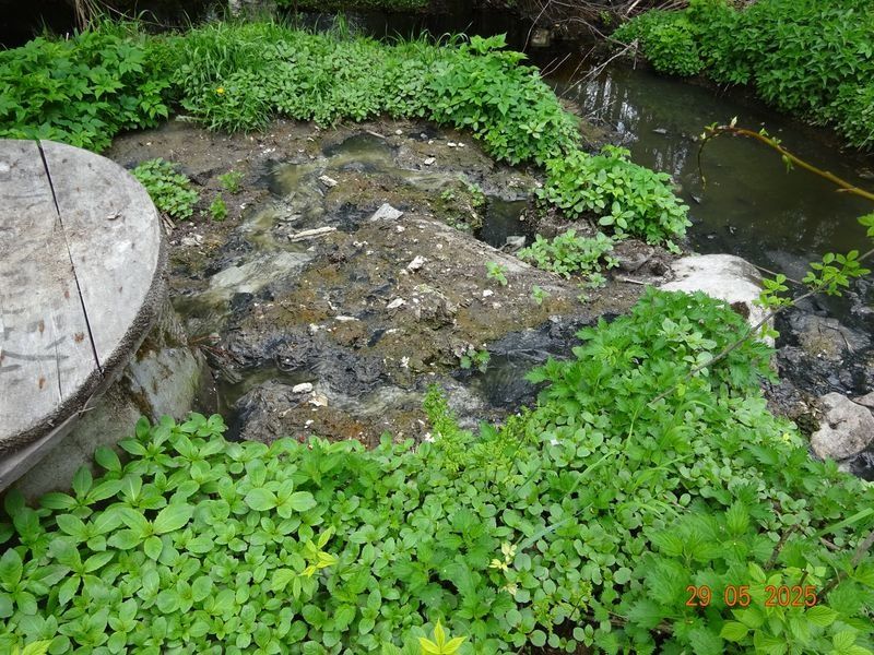 На юге Карелии жители закапывают ямы, пока чиновники бездействуют