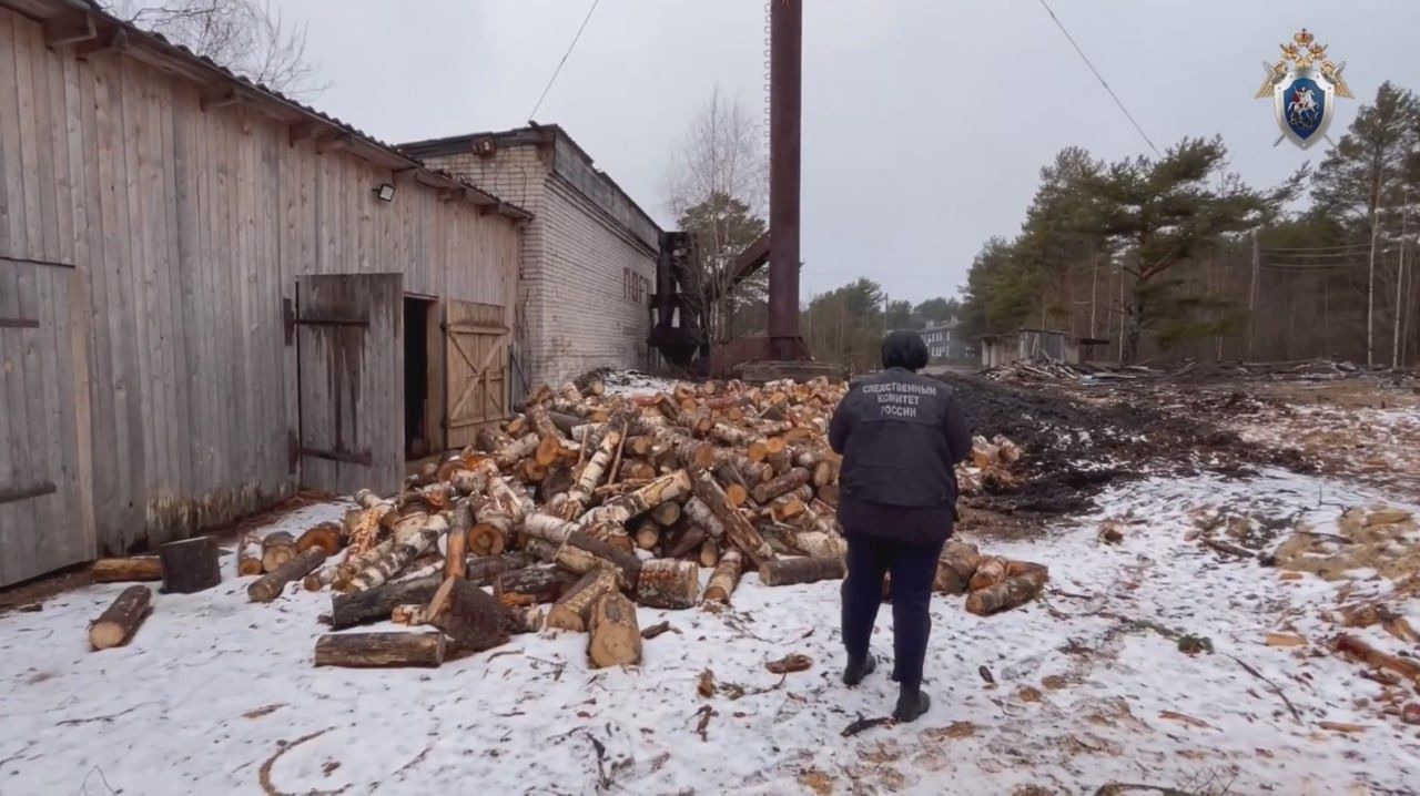 Пойдет под суд мастер, по чьей вине придавленный бревном работник получил открытый перелом ноги на востоке Карелии