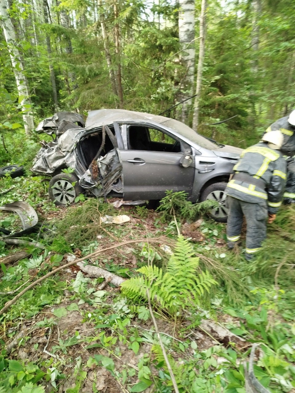 Человек погиб в слетевшей с дороги иномарке на востоке Карелии
