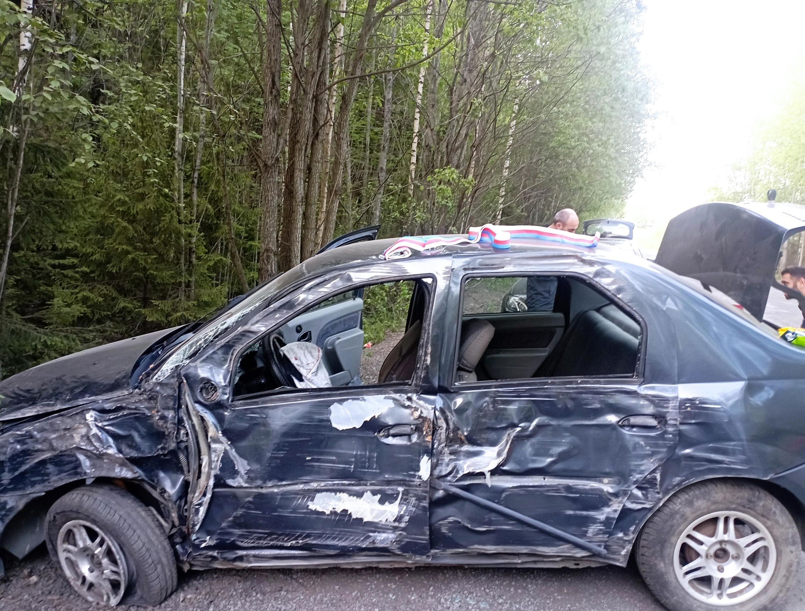 Юный водитель попал в больницу, когда его иномарка врезалась в дерево в крупном районе Петрозаводска