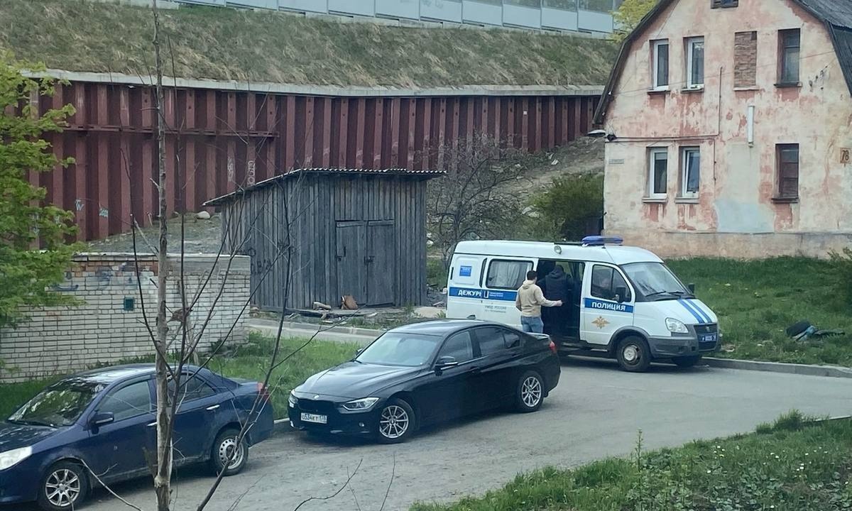 Появились подробности убийства с участием психически больной женщины в Беломорском районе