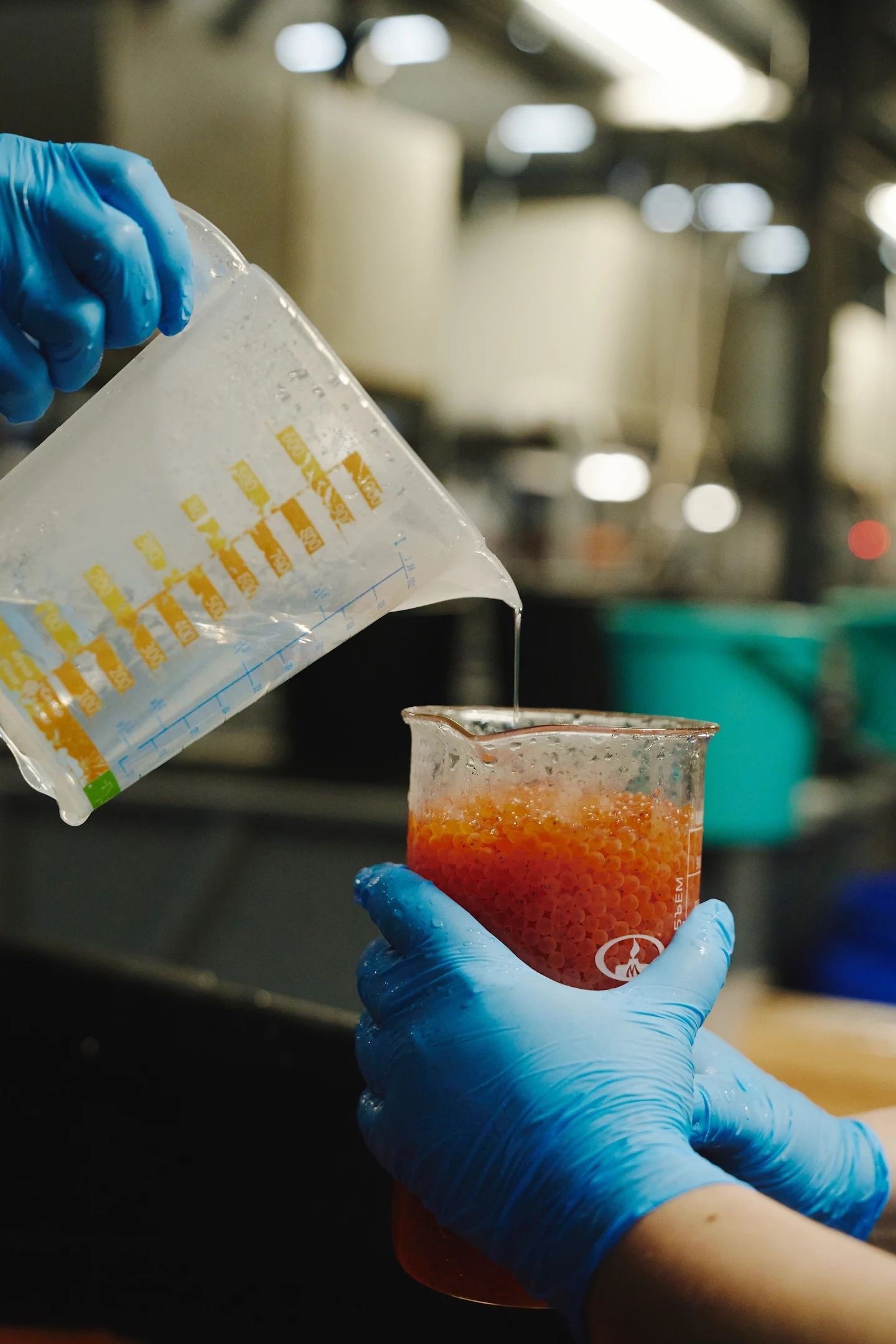 В Карелии готовятся к появлению новой партии форели