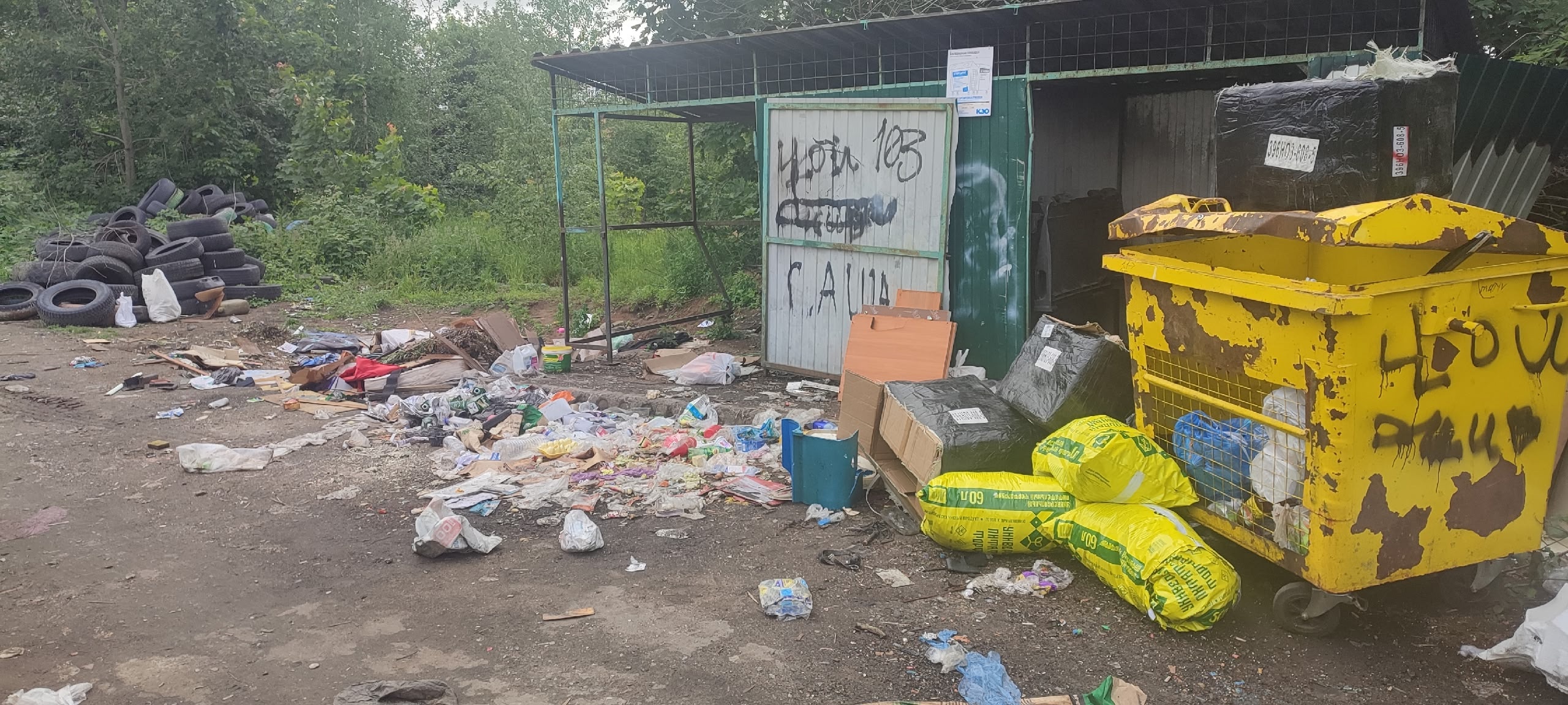 Жители Петрозаводска объявили флешмоб «Помойка, в которой мы живём»