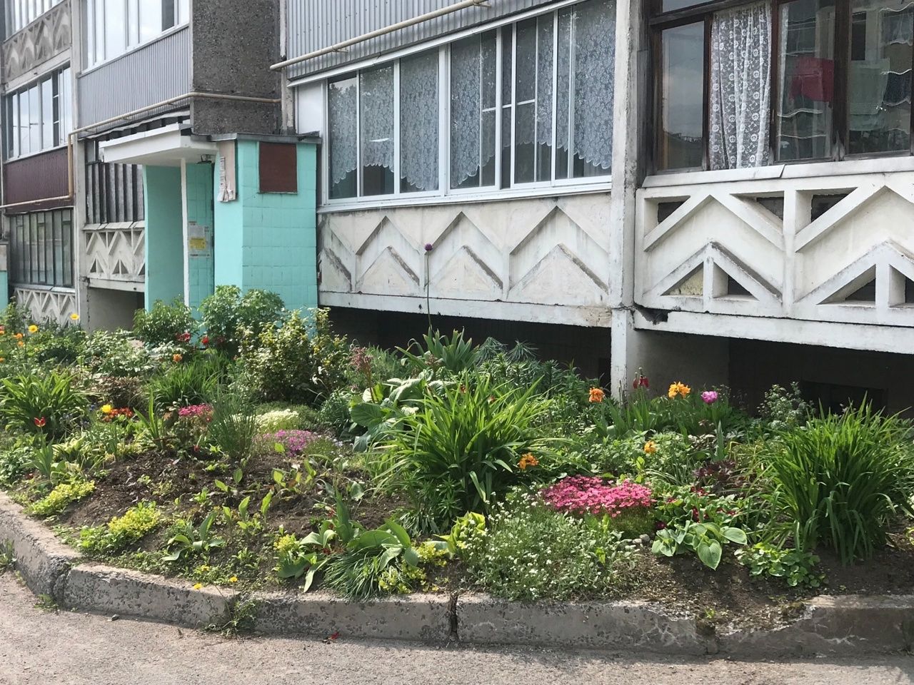 В Кондопоге жильцы отказались от горячей воды ради цветов