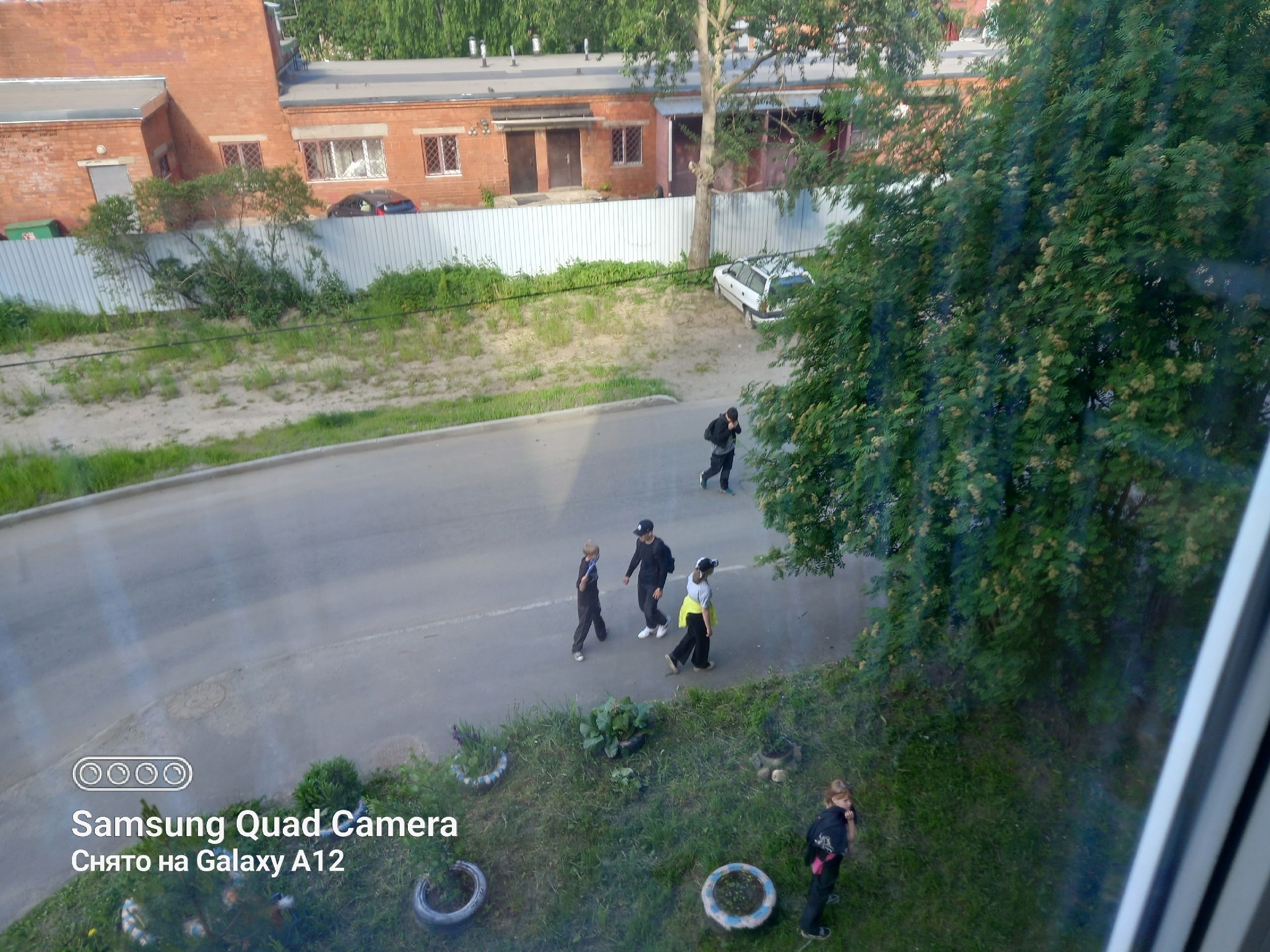 Дети разломали игрушки у клумбы в Петрозаводске