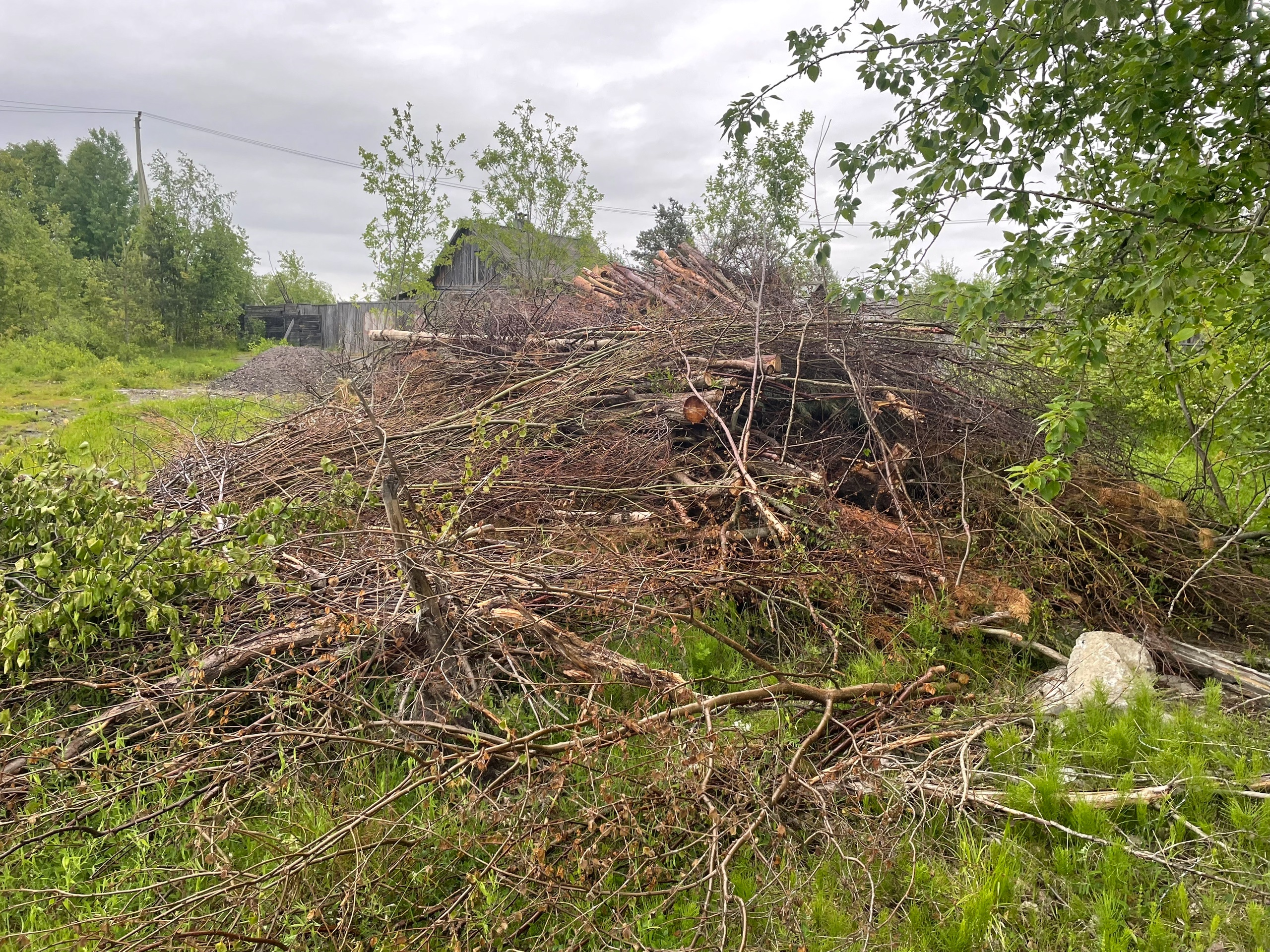 Депутат Заксобрания потребовал навести порядок в Рабочеостровске