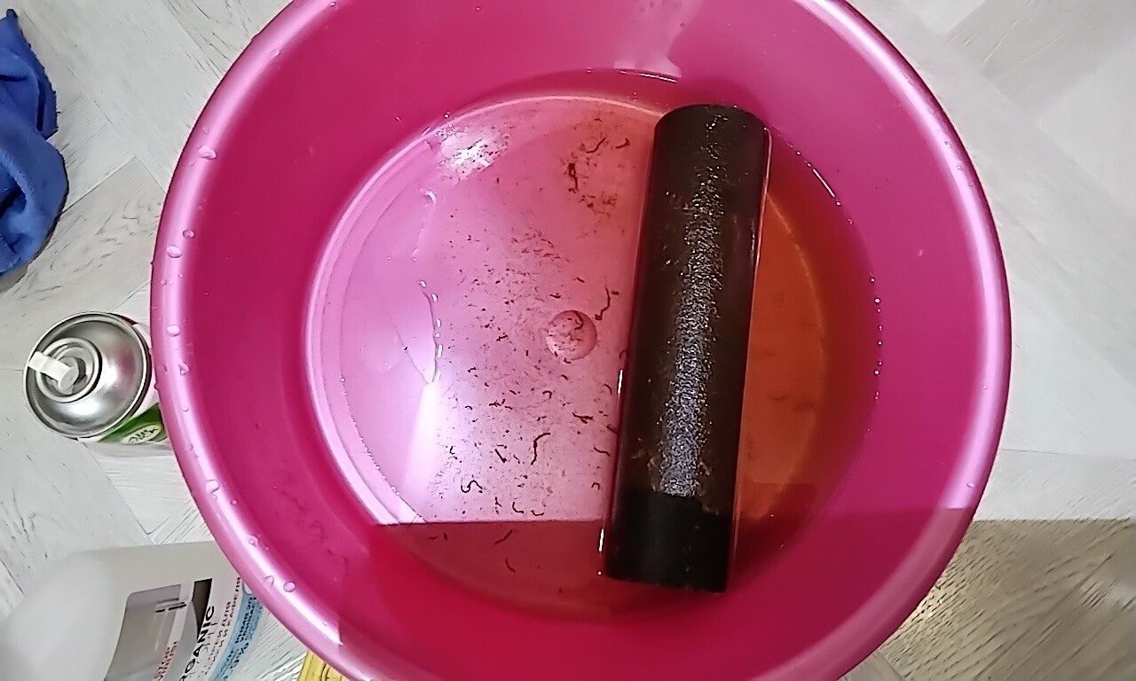 На севере Карелии настолько грязная вода, что в фильтрах поселилась живность