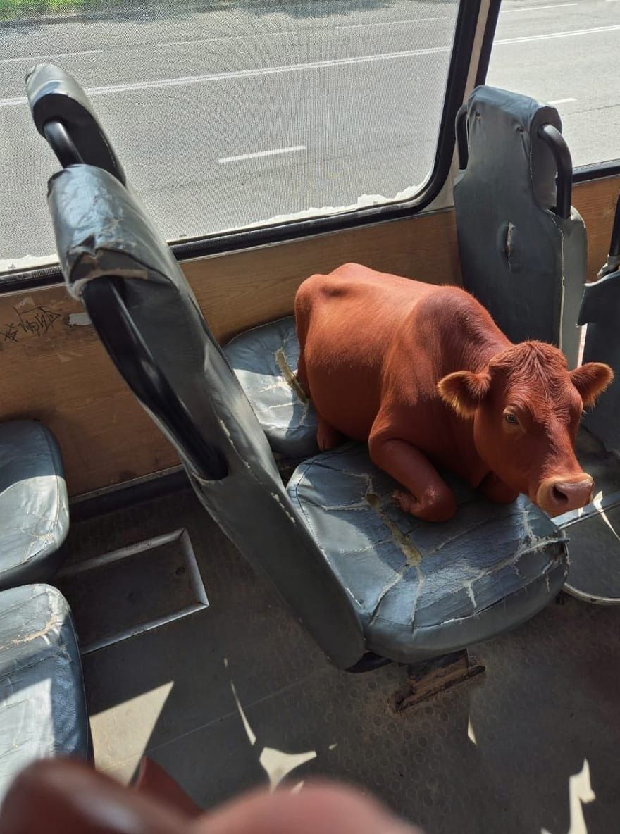 Буйных пассажиров, ломающих кресла в маршрутках Петрозаводска, изобразила нейросеть