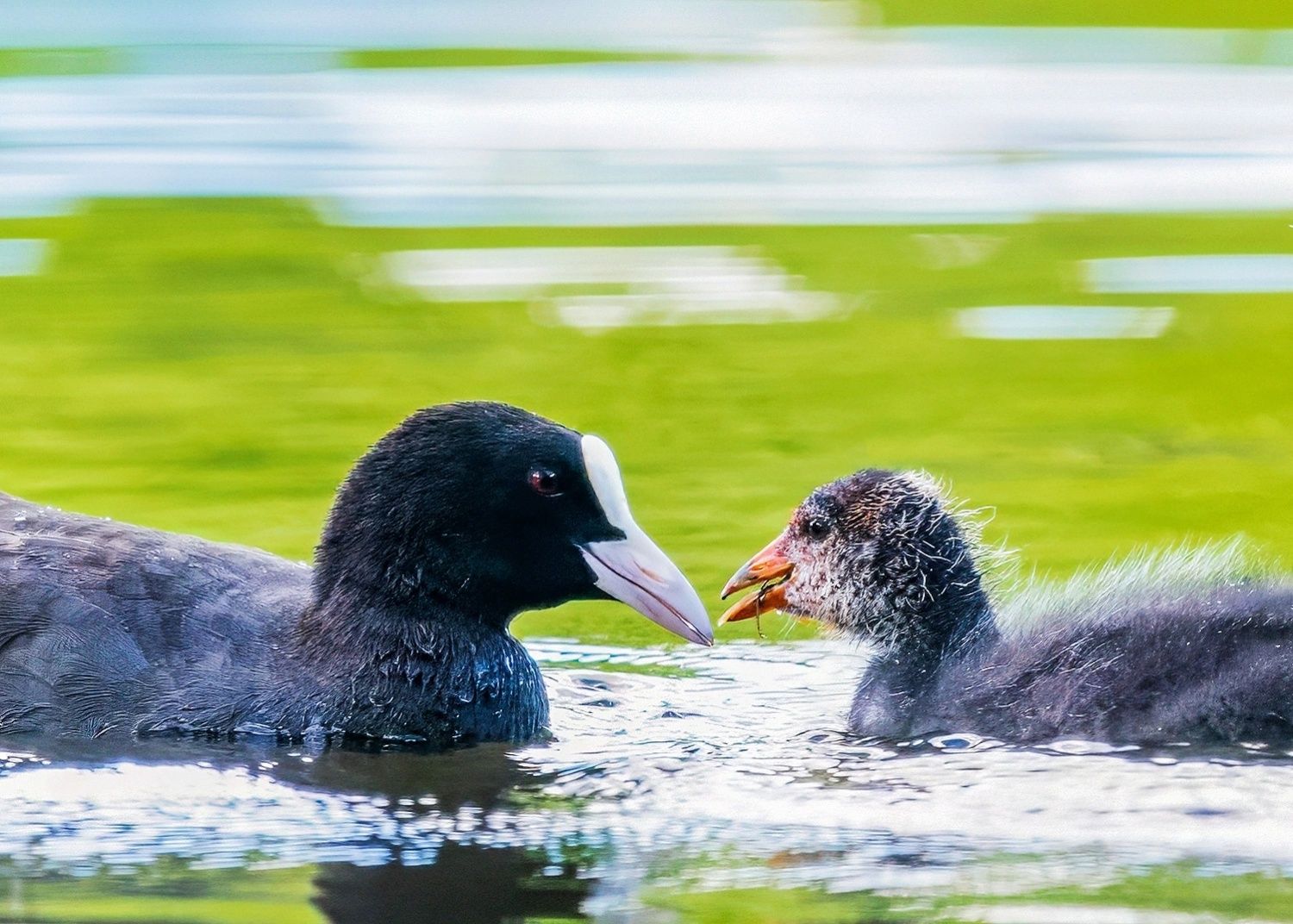 В Карелии со среды потеплеет до 22 градусов