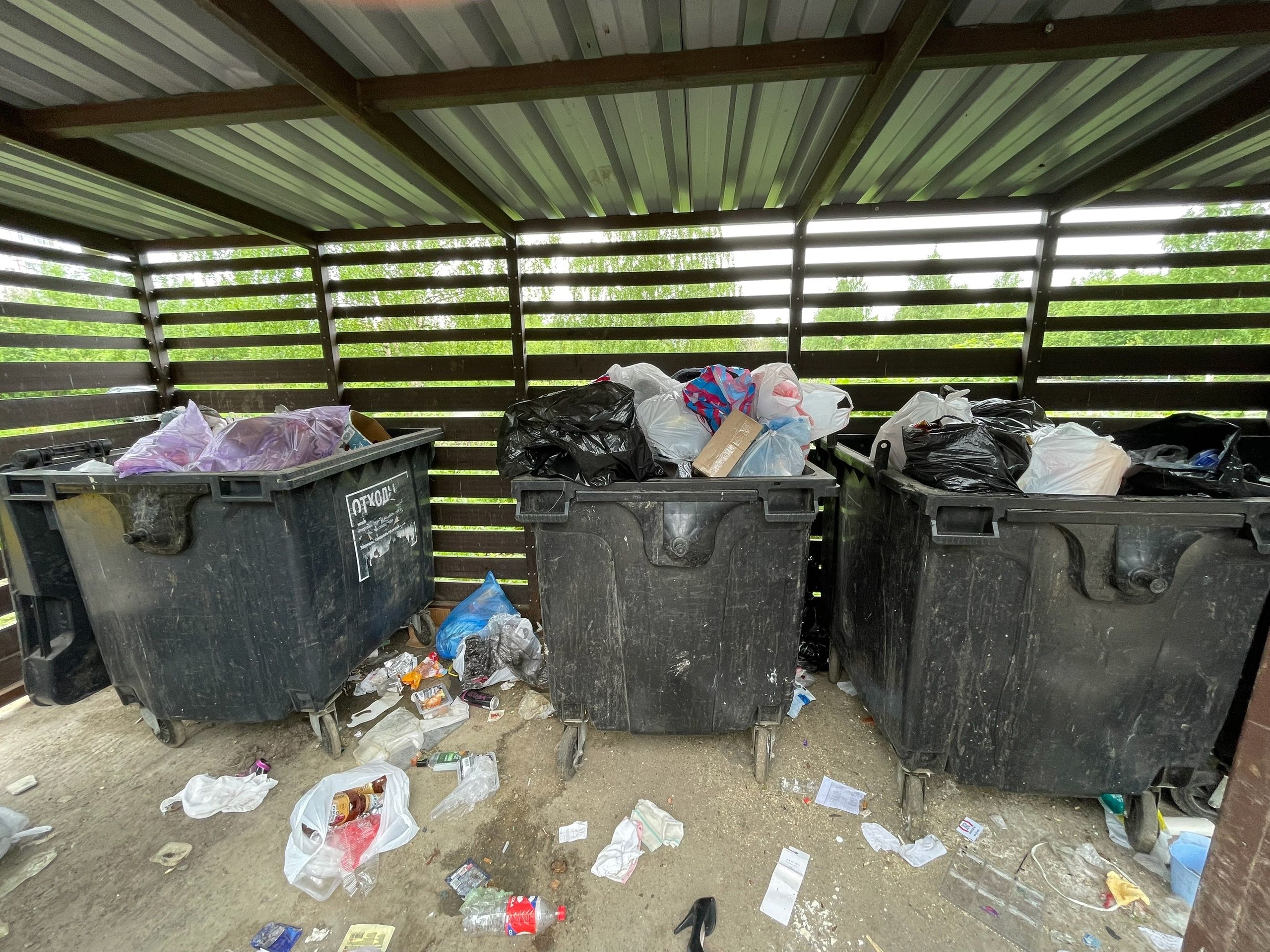 «Стыдно перед туристами»: депутат Заксобрания раскритиковал КЭО