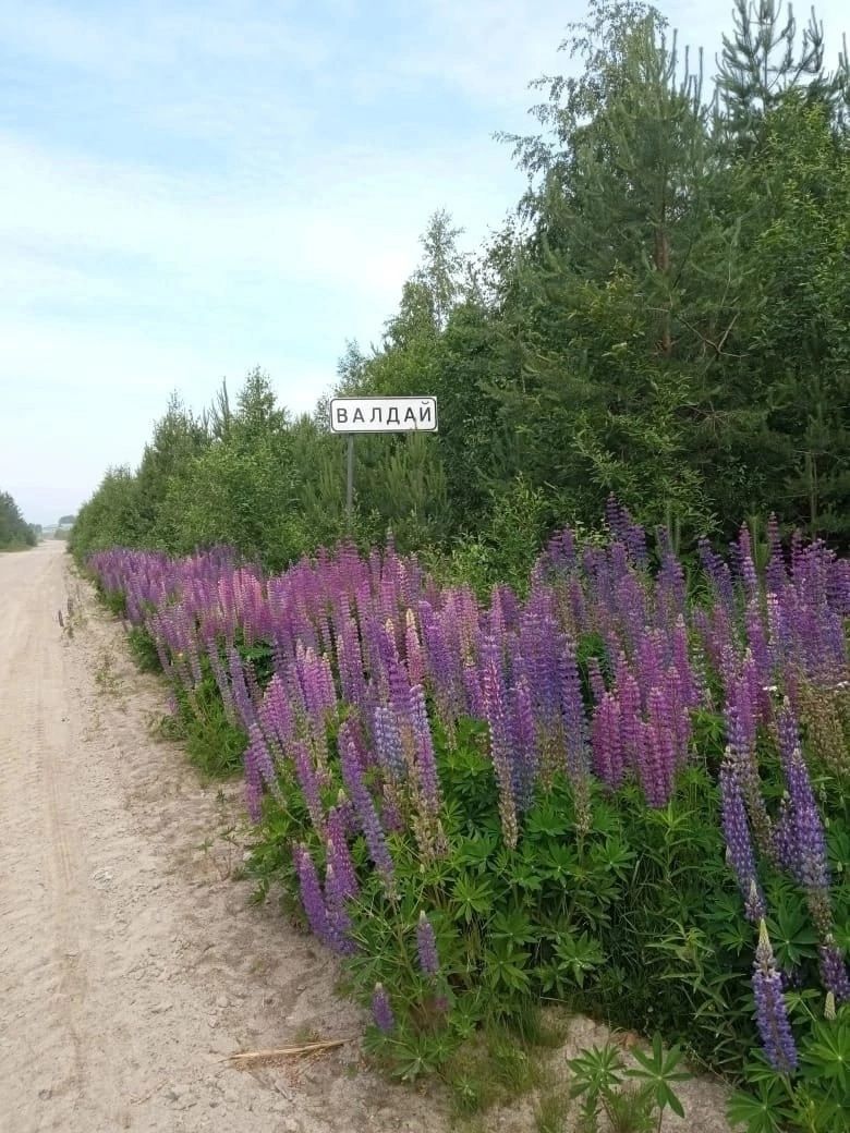 Новый автобус может выйти на маршрут Сегежа-Валдай в августе