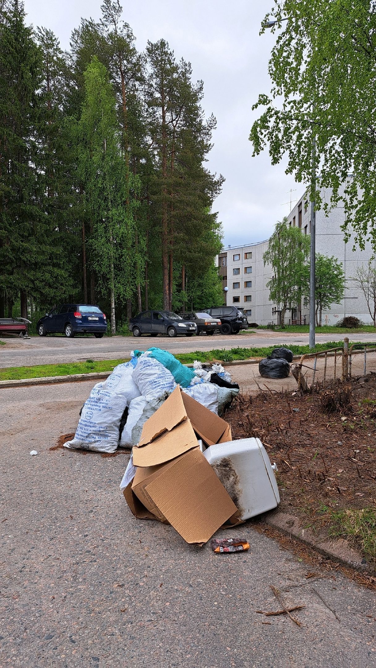 «Париж отдыхает»: жители Костомукши сделали фотозарисовки местных достопримечательностей