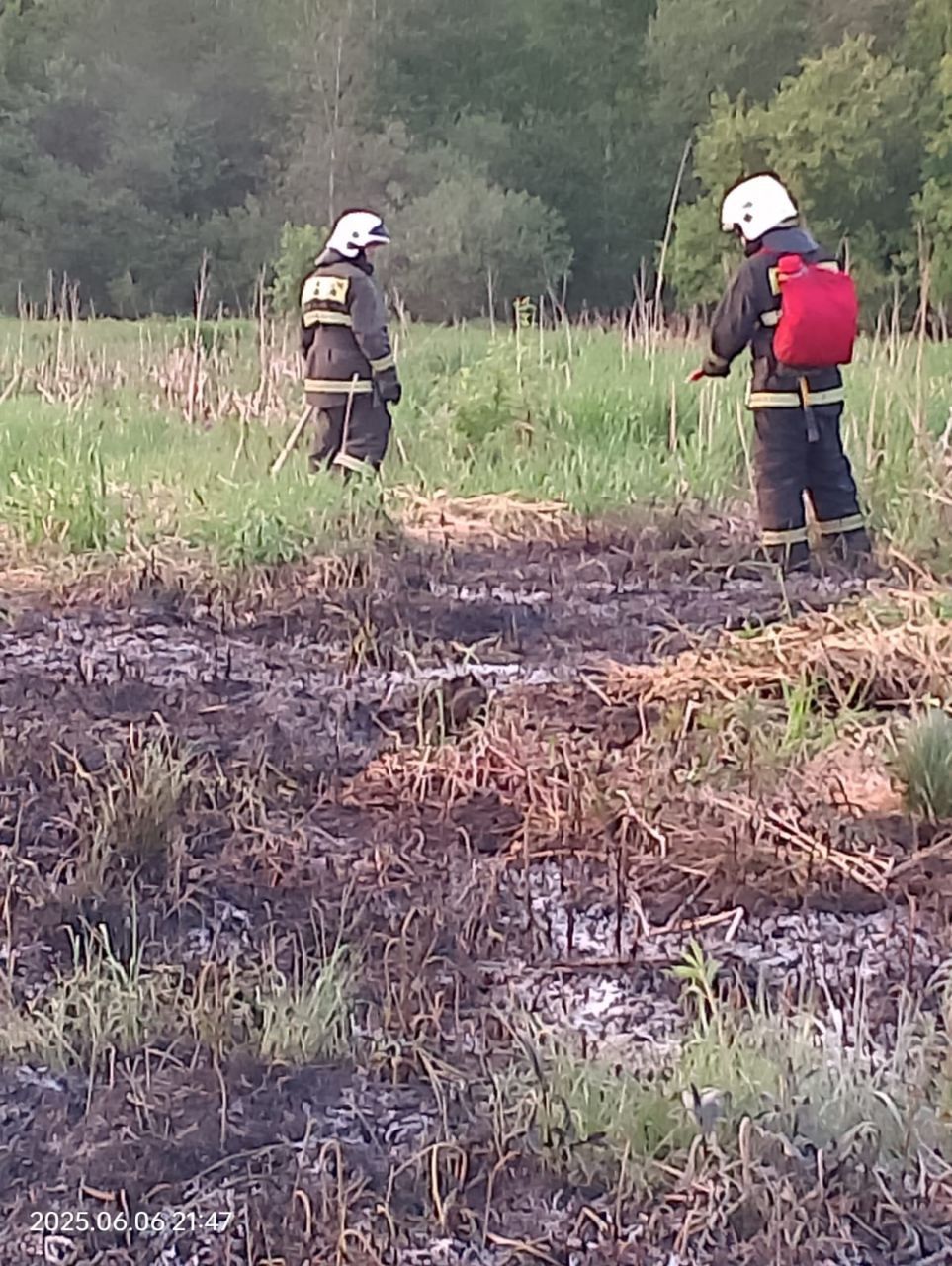 Пожар в полях разгорелся в Пряжинском районе Карелии