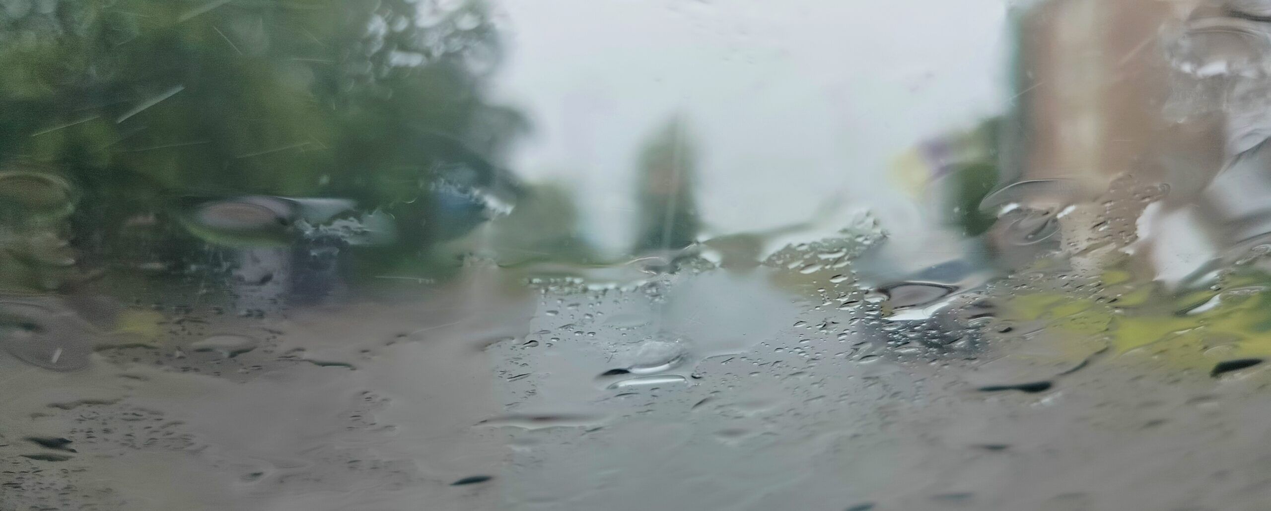 Сильные дожди обрушатся на Карелию