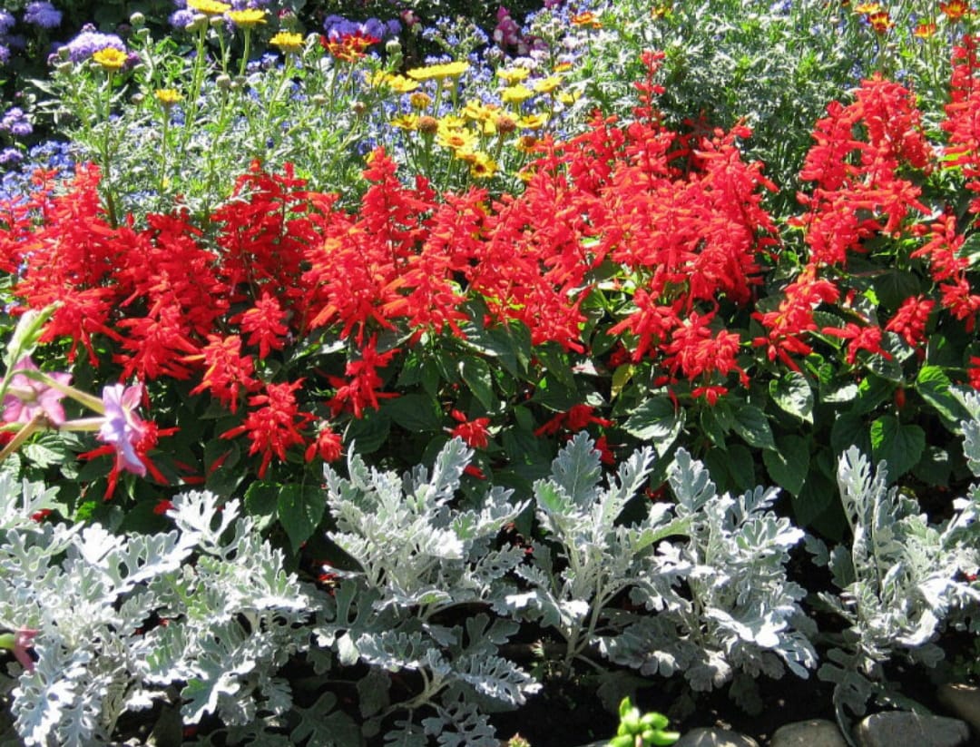 Агроном напомнила дачникам, что важно успеть сделать на дачном участке или в саду до конца июня