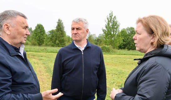 В племенном хозяйстве «Ильинское» начнут разводить овец куйбышевской породы