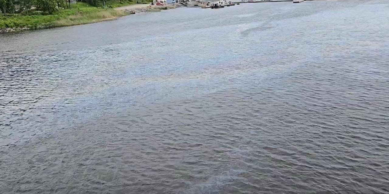 Прокуратура не оставила без внимания бензиновое пятно в заливе Сортавалы