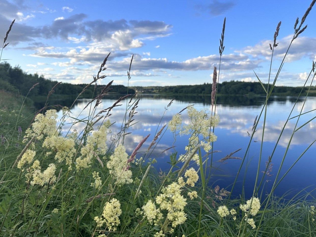 Глава Карелии в День республики: «Счастья и удачи тебе, наша родная земля!»