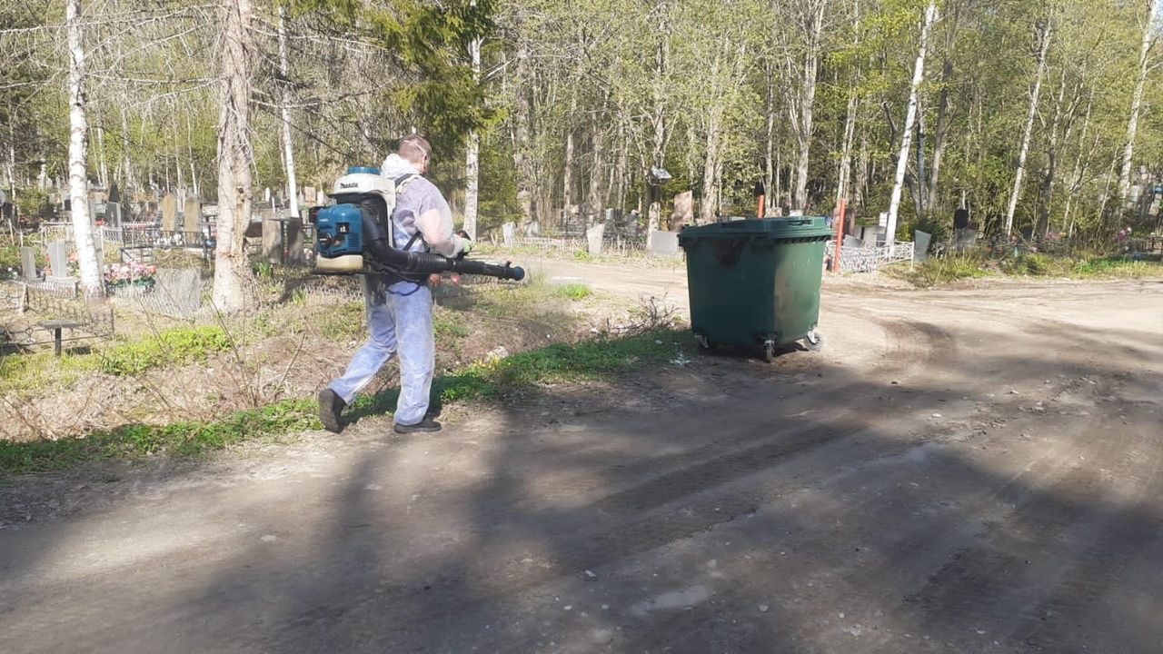 Кладбища в Сортавале обработают от клещей и грызунов