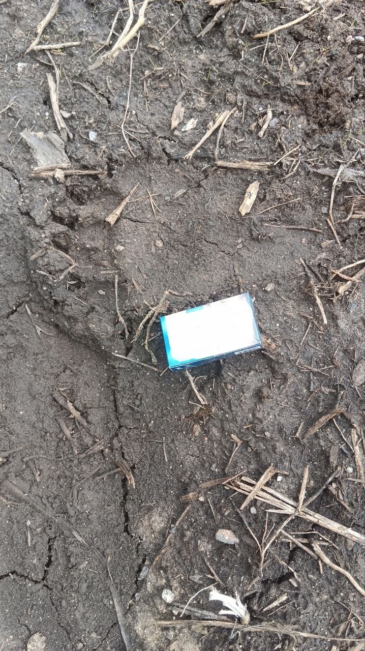 Будьте осторожнее: в Лоухском районе ходит медведь