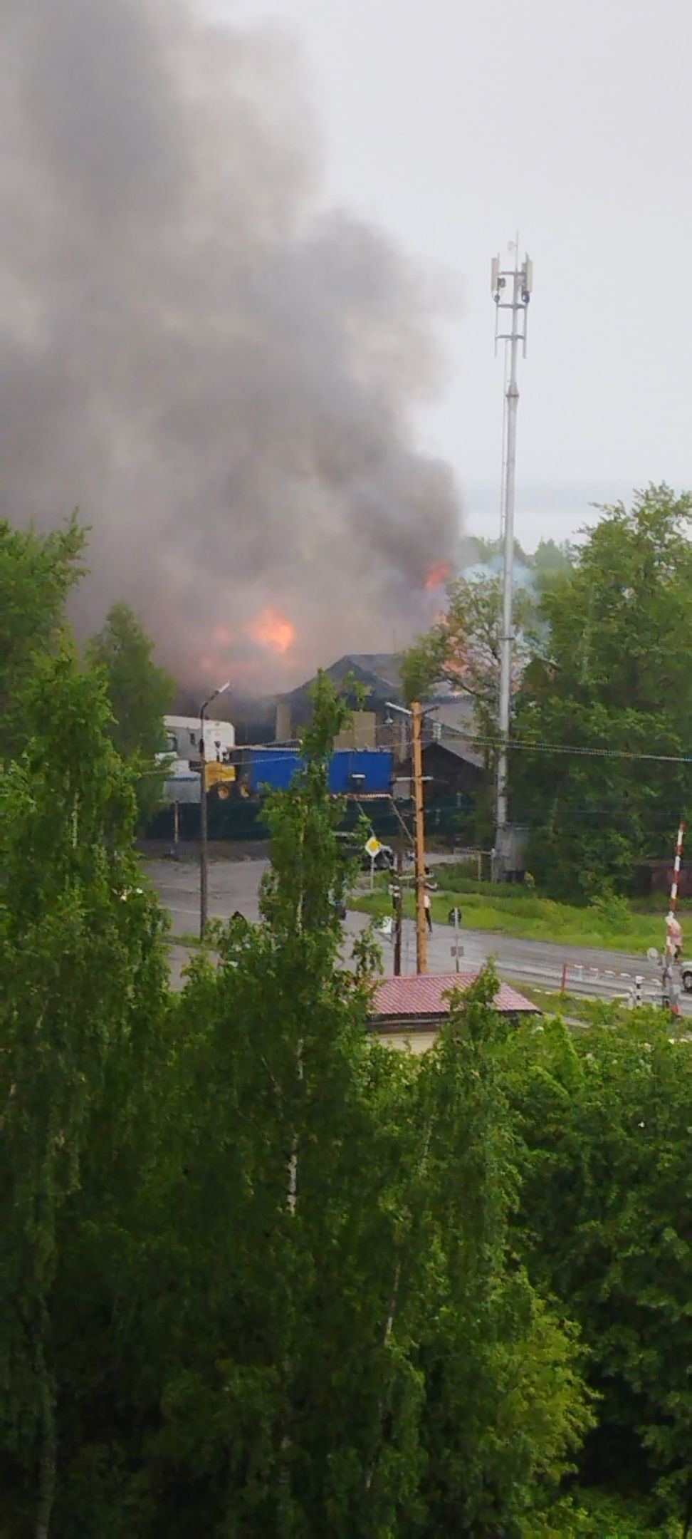 На предприятии в Кондопоге прокомментировали пожар в леспромхозе