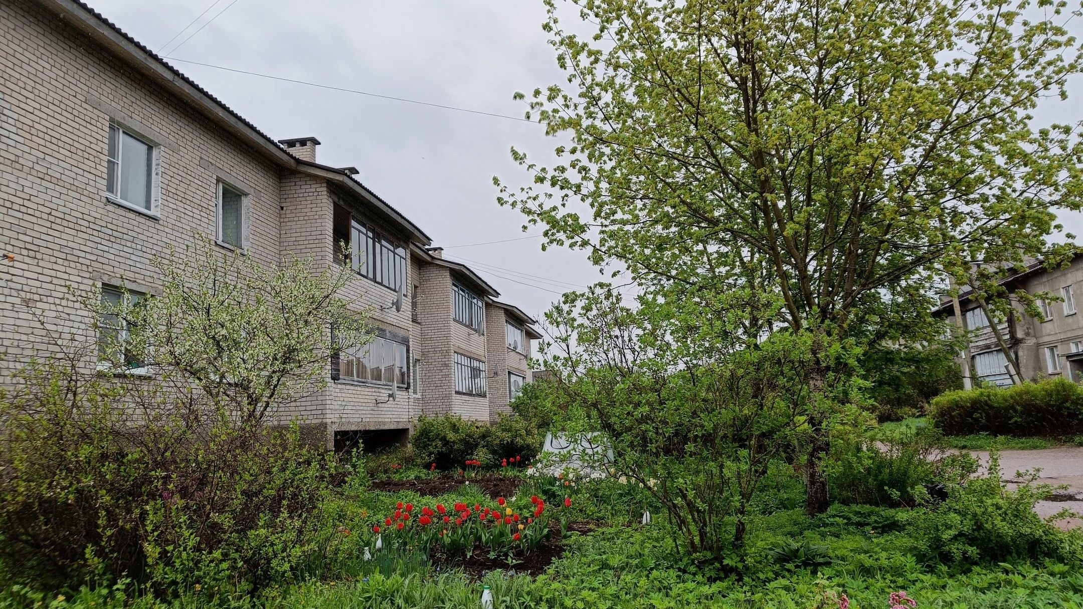 Более 800 семей получили доступ к гигабитному интернету в карельском поселке