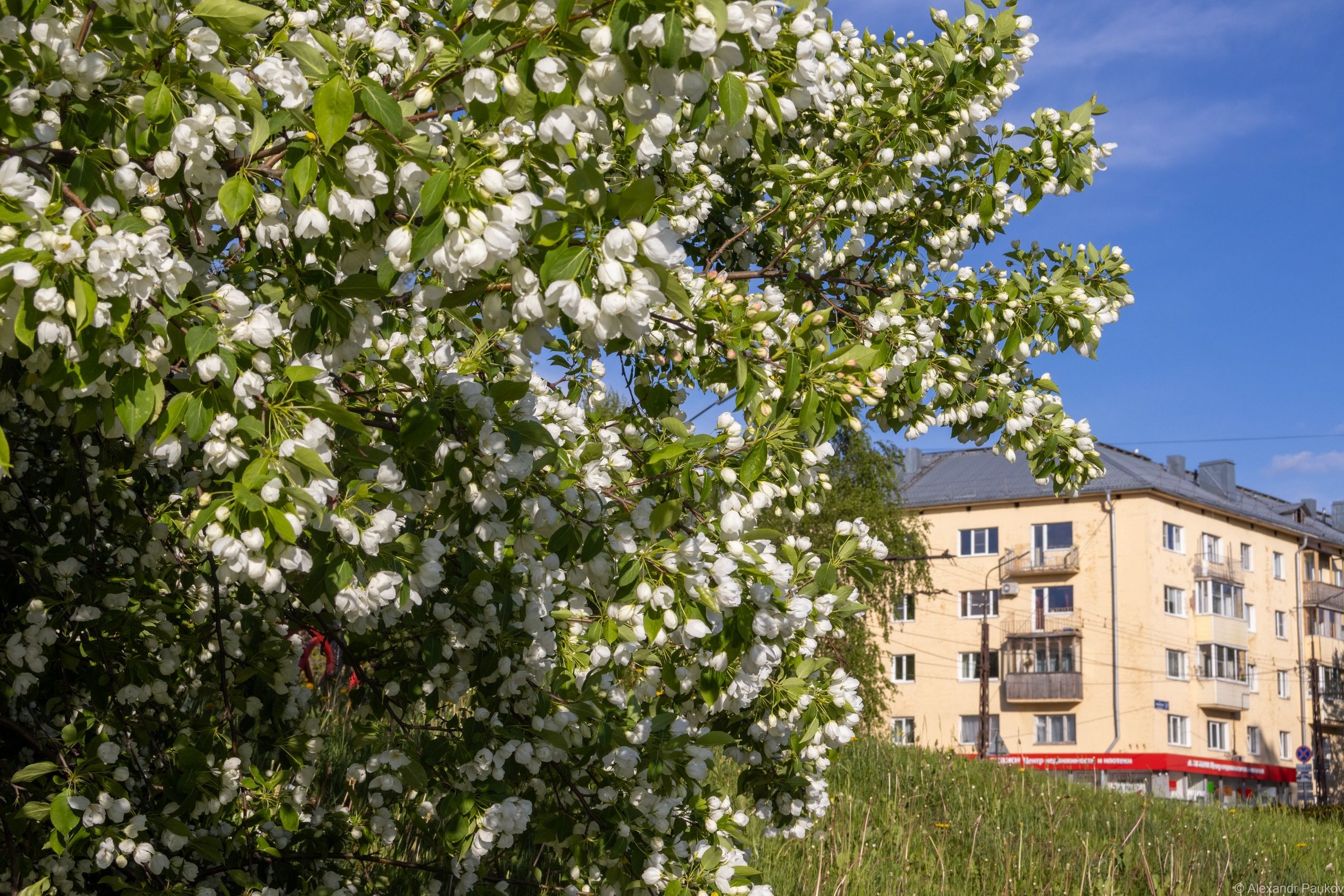 Синоптики рассказали о погоде на завтра в Карелии