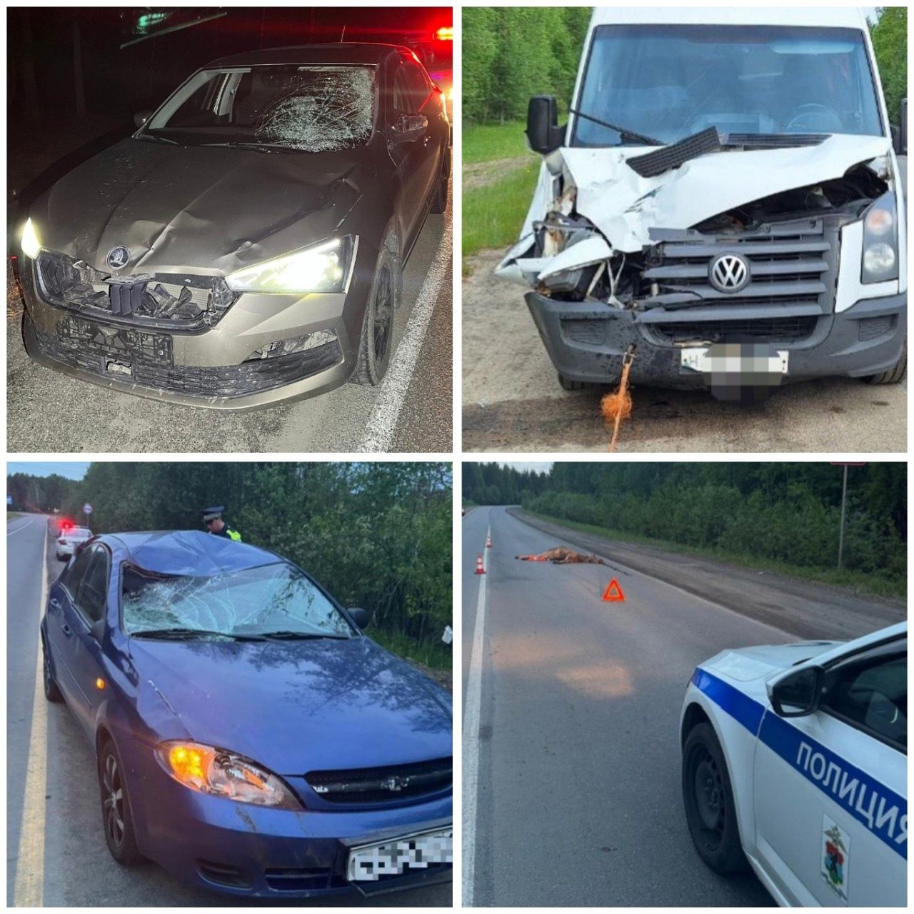 16 ДТП за полтора месяца: машины после столкновения с дикими животными показали автоинспекторы