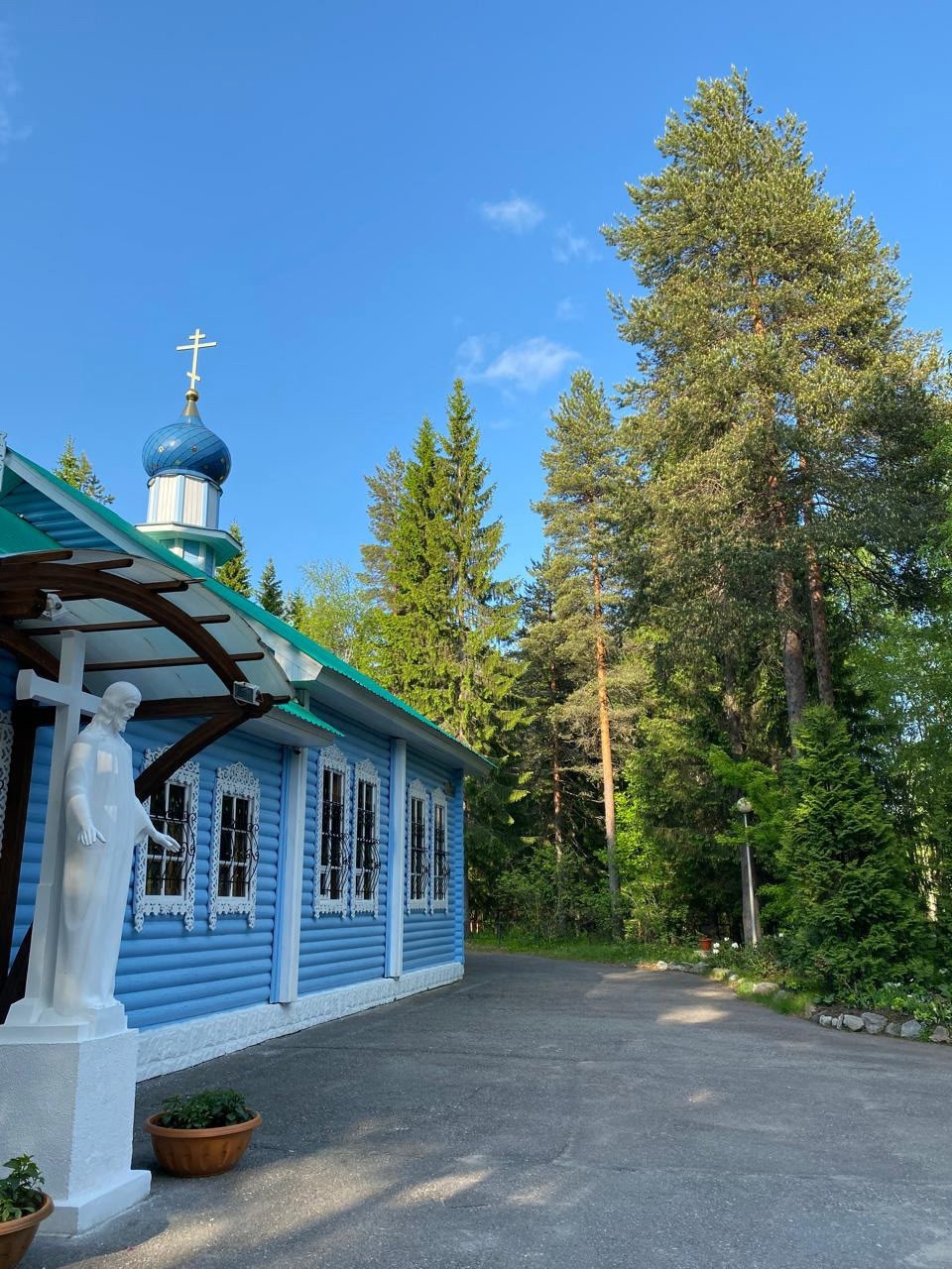 «Страшный, но невидимый процесс»: в ожидании МРТ мозга отец мальчика, которого укусил клещ, попросил молиться о чуде